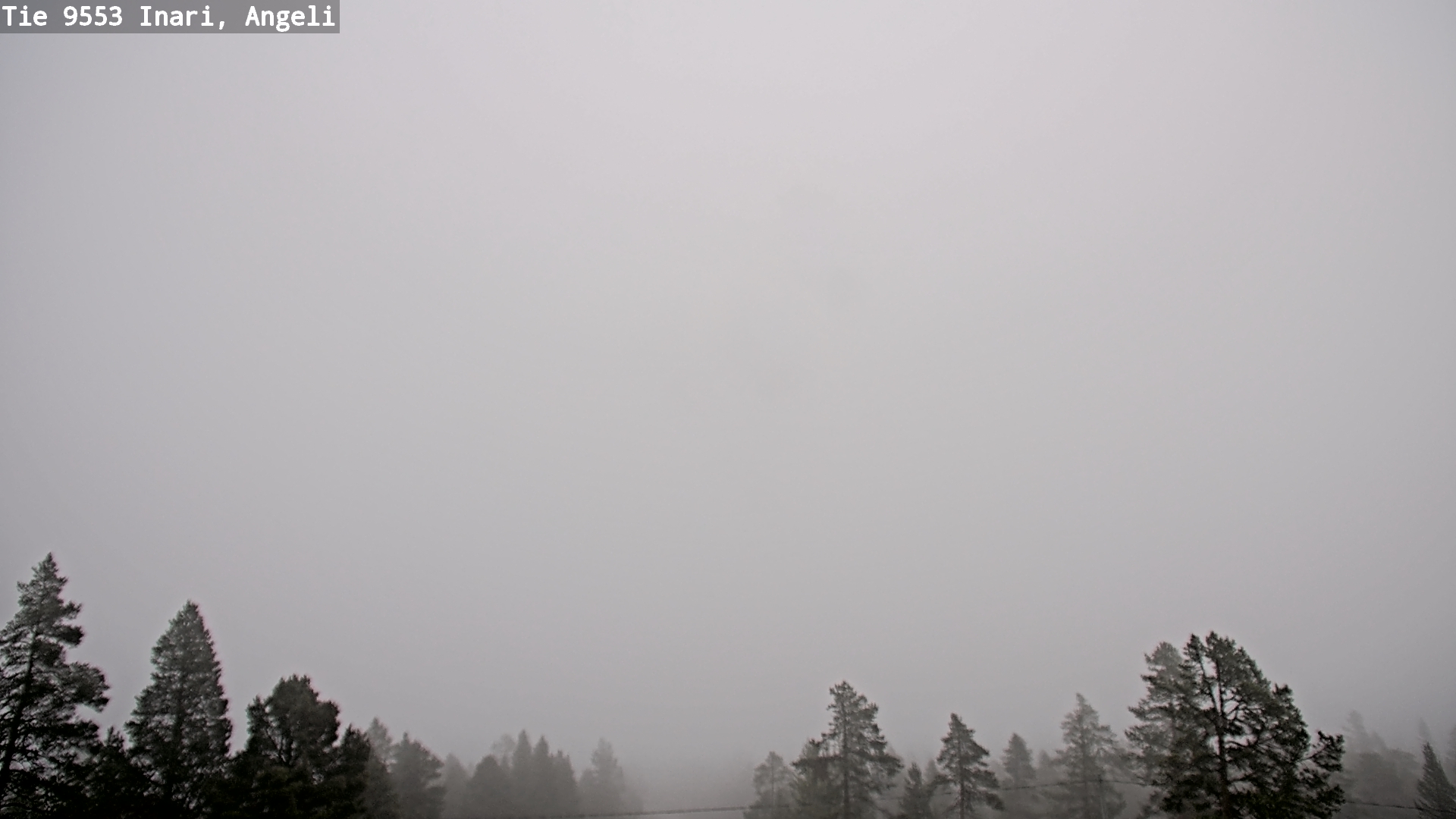 Weather Camera Image Road 9553 Inari, Angeli, Lintupuolivaara, Inari, Lappi