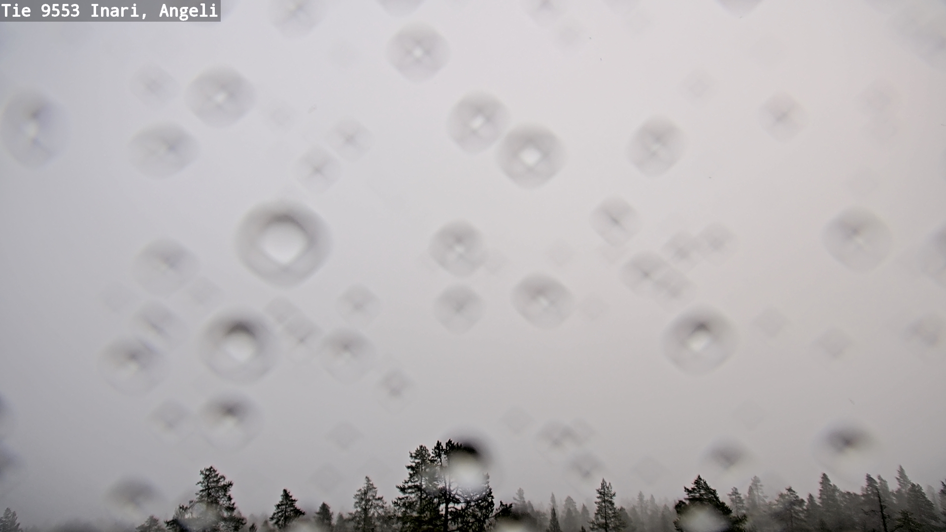 Kelikamerat Kuva Tie 9553 Inari, Angeli, Lintupuolivaara, Inari, Lappi