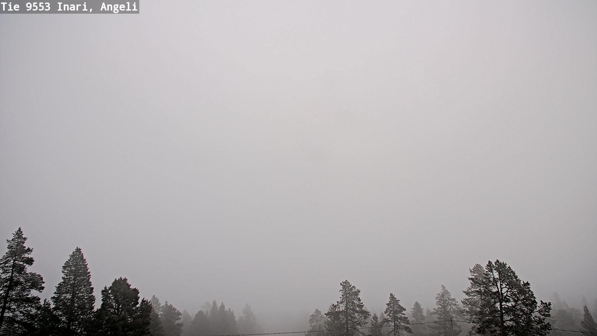 Weather Camera Image Road 9553 Inari, Angeli, Lintupuolivaara, Inari, Lappi