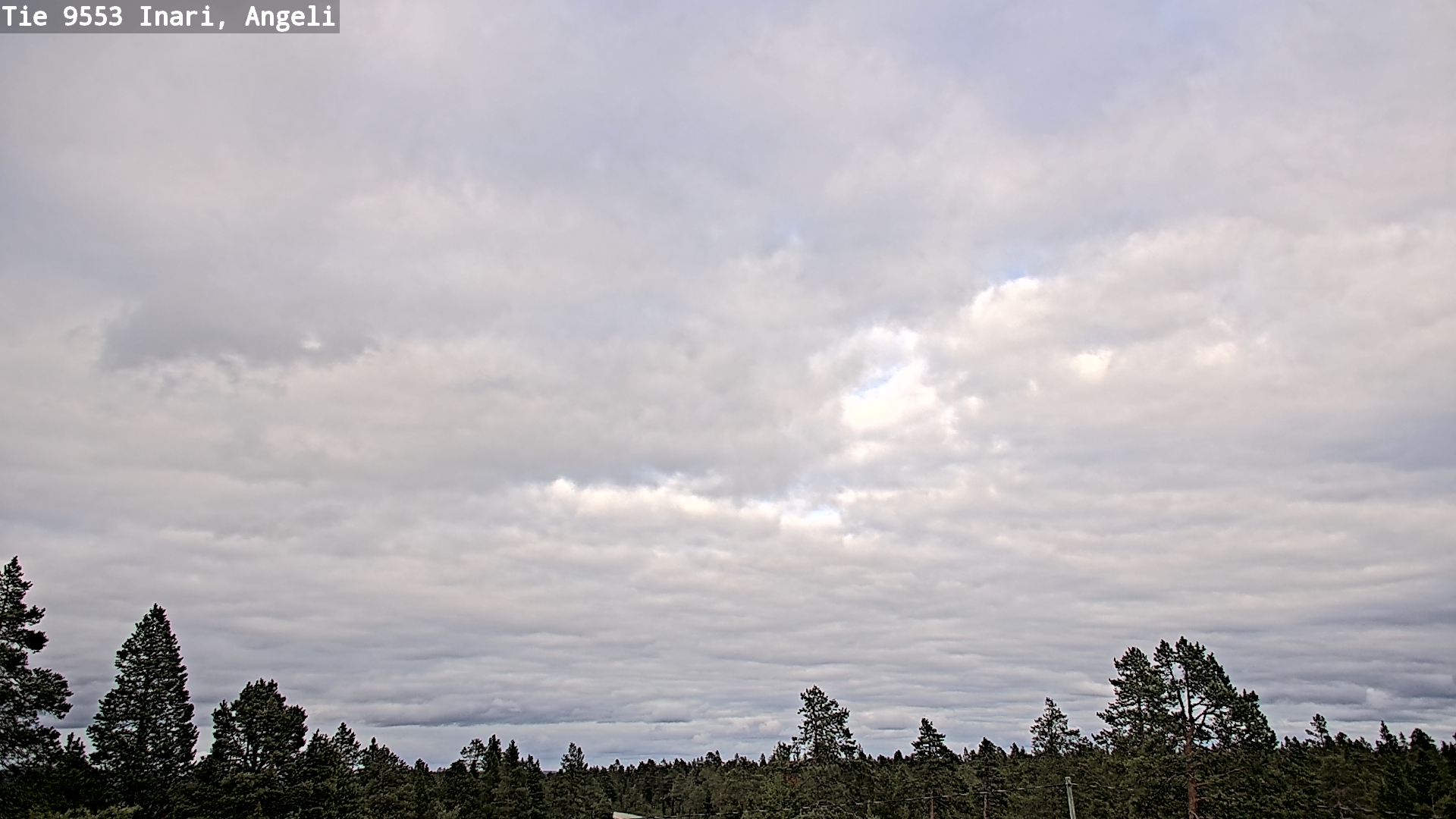 Kelikamerat Kuva Tie 9553 Inari, Angeli, Lintupuolivaara, Inari, Lappi