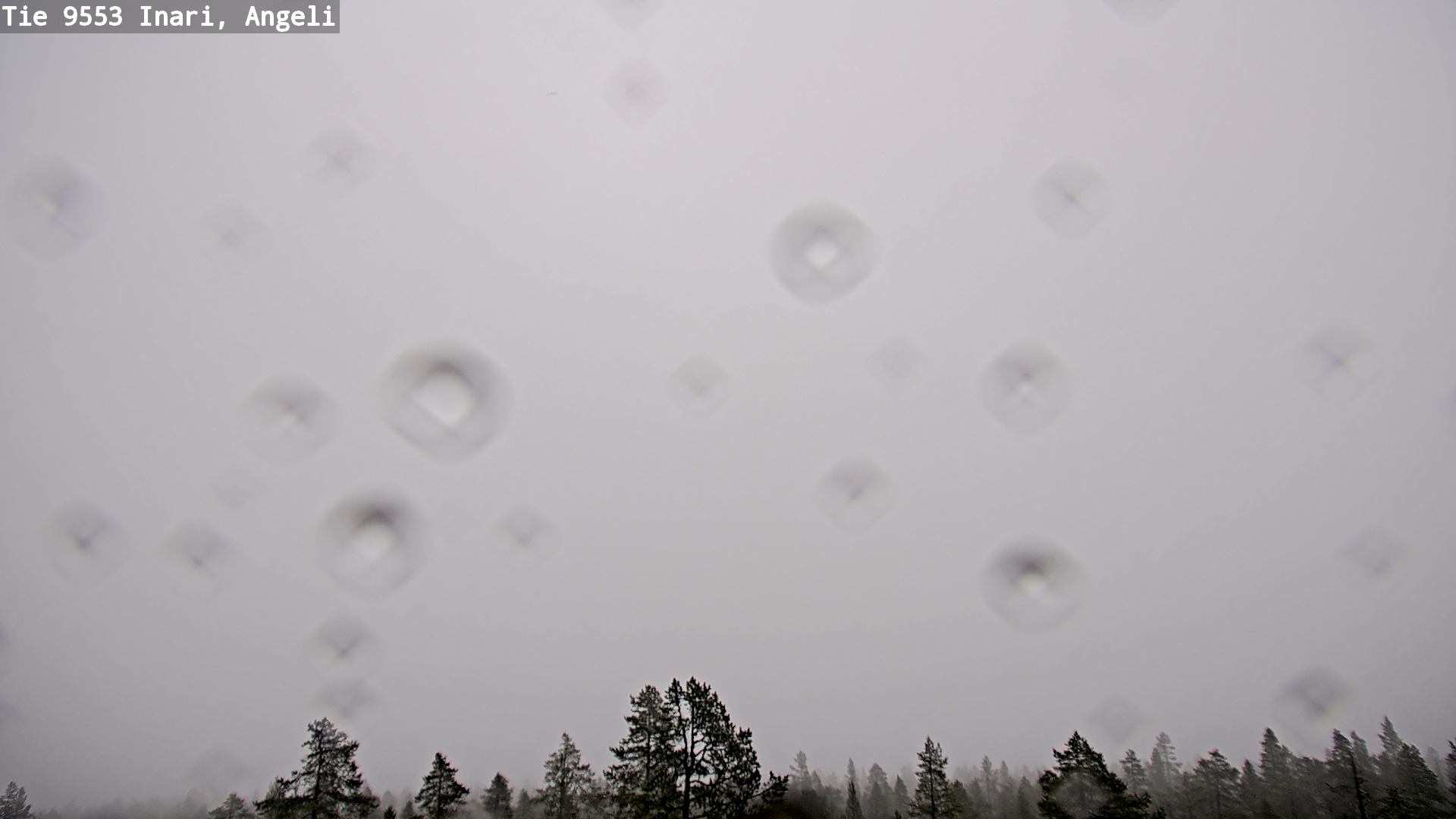 Kelikamerat Kuva Tie 9553 Inari, Angeli, Lintupuolivaara, Inari, Lappi