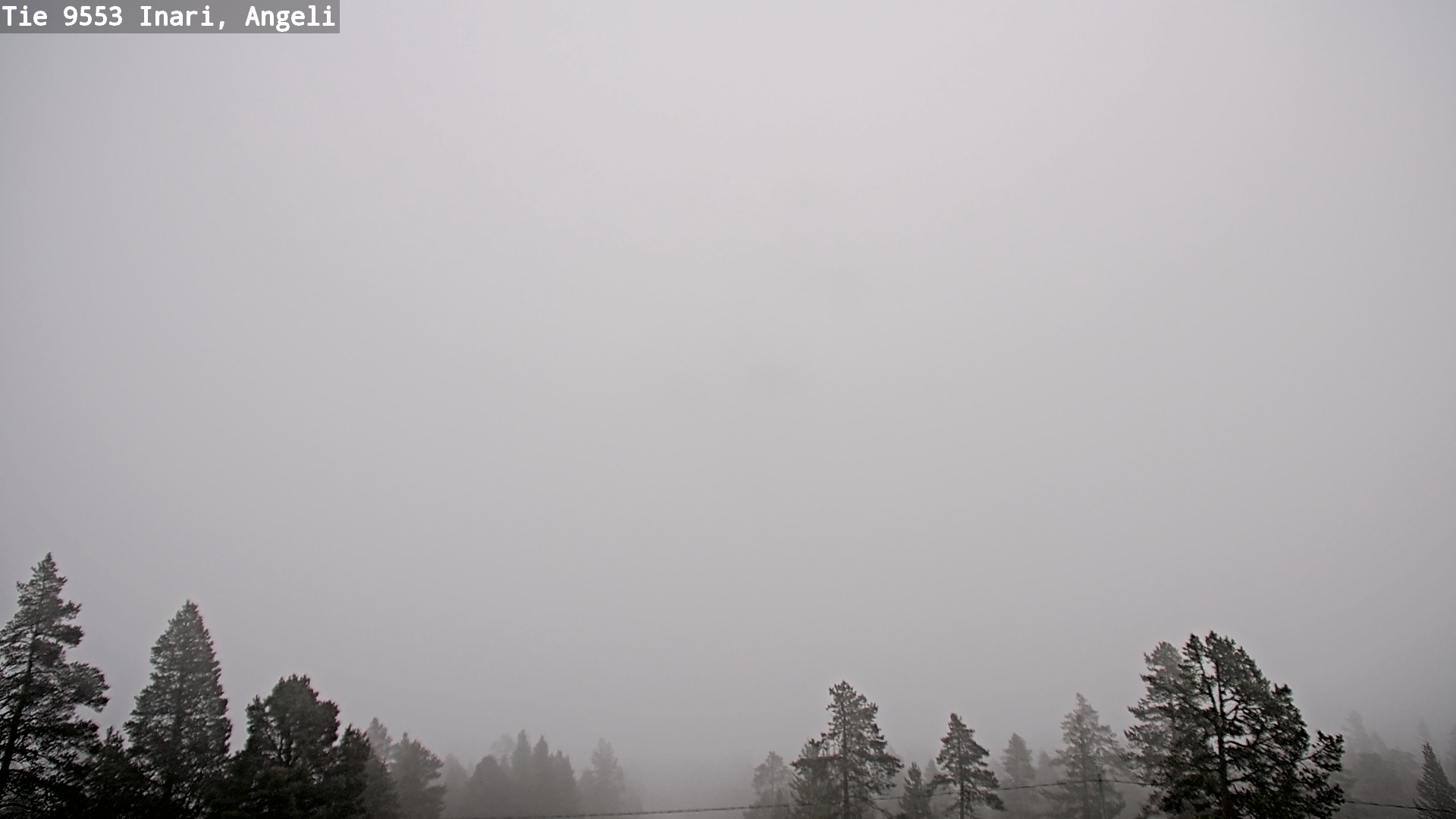 Weather Camera Image Road 9553 Inari, Angeli, Lintupuolivaara, Inari, Lappi
