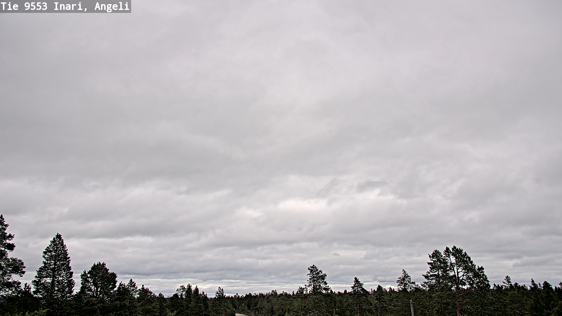 Kelikamerat Kuva Tie 9553 Inari, Angeli, Lintupuolivaara, Inari, Lappi