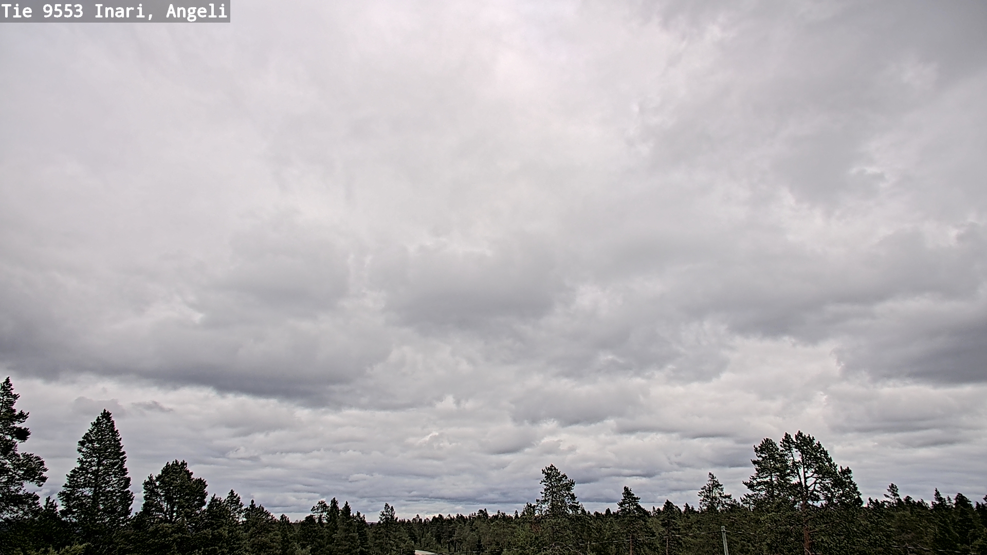 Kelikamerat Kuva Tie 9553 Inari, Angeli, Lintupuolivaara, Inari, Lappi
