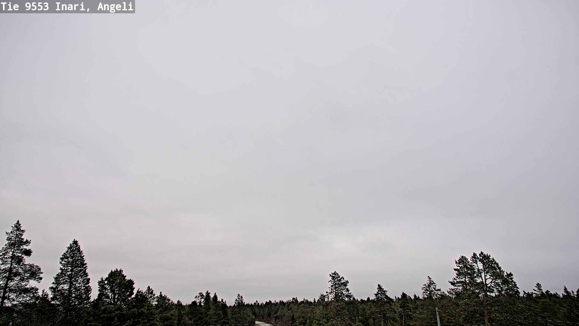 Kelikamerat Kuva Tie 9553 Inari, Angeli, Lintupuolivaara, Inari, Lappi