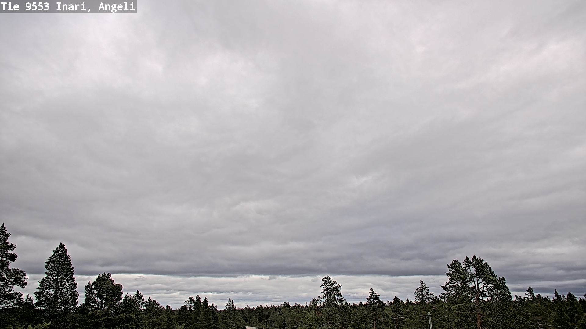 Kelikamerat Kuva Tie 9553 Inari, Angeli, Lintupuolivaara, Inari, Lappi