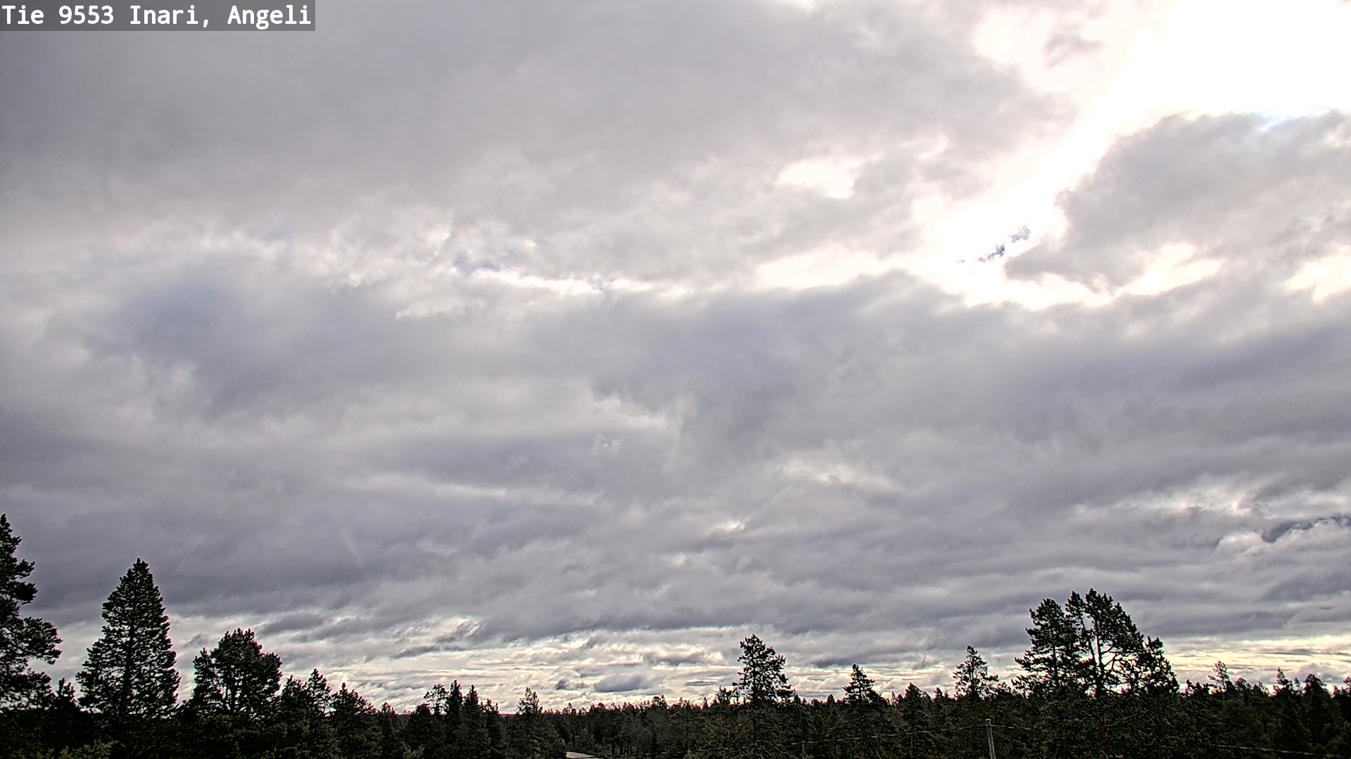 Weather Camera Image Road 9553 Inari, Angeli, Lintupuolivaara, Inari, Lappi