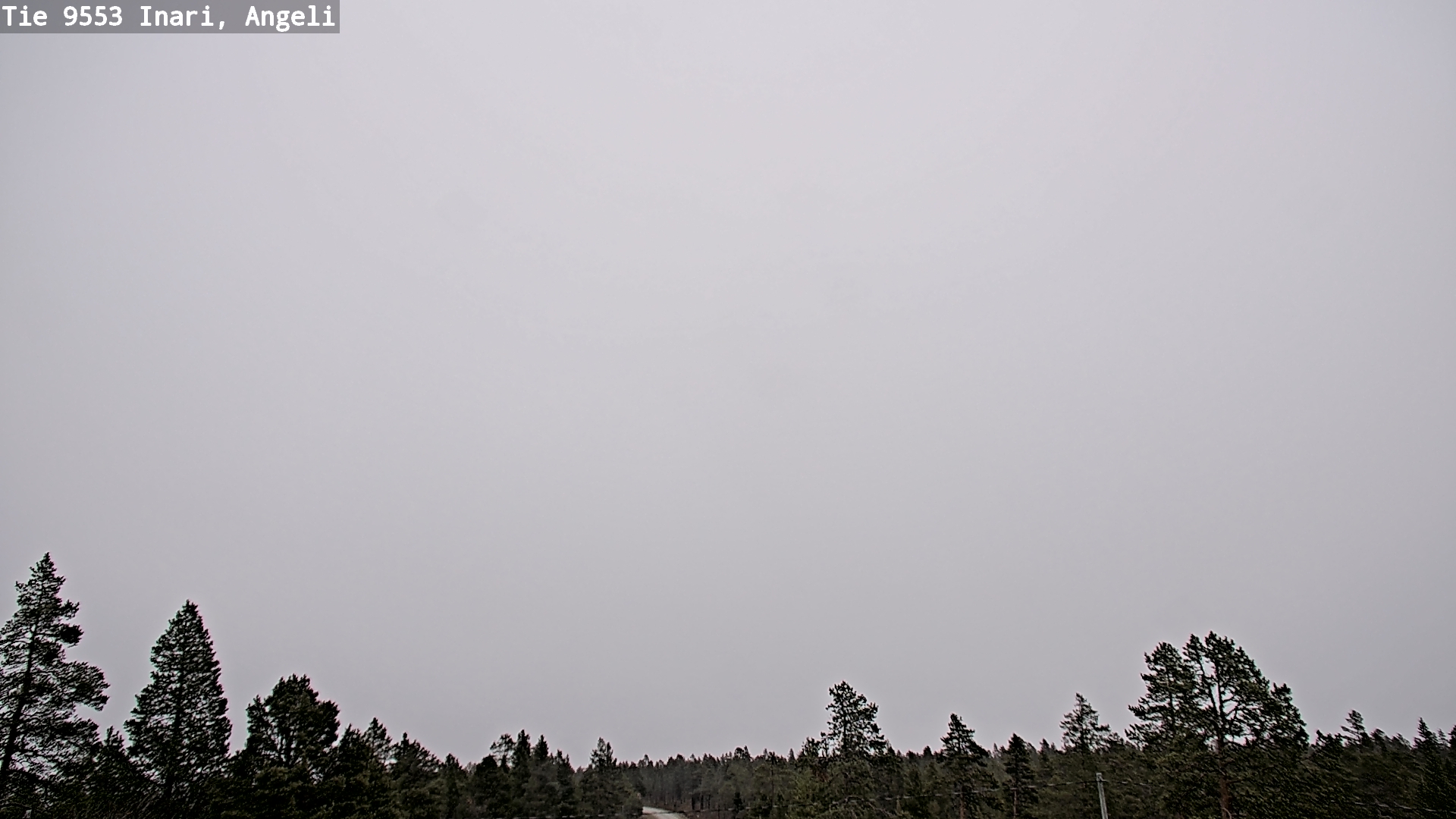Kelikamerat Kuva Tie 9553 Inari, Angeli, Lintupuolivaara, Inari, Lappi