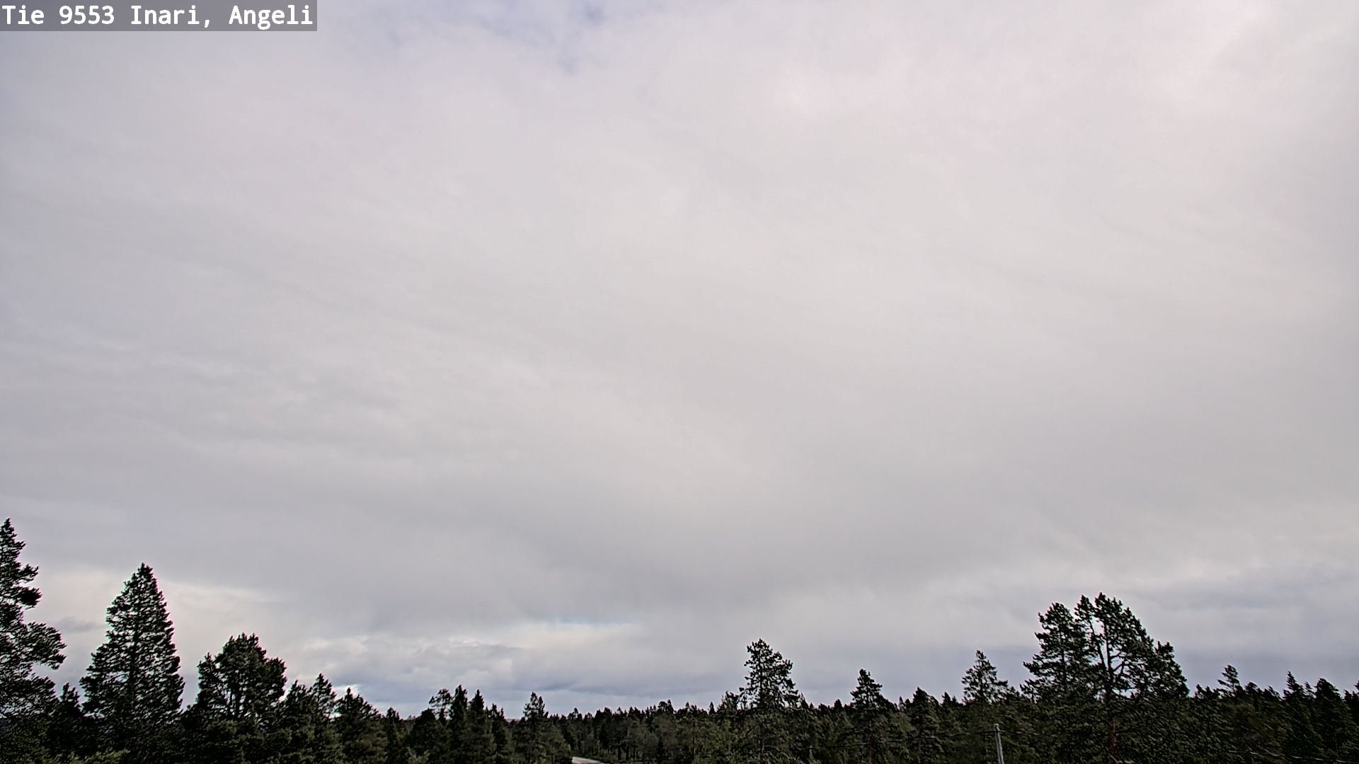Weather Camera Image Road 9553 Inari, Angeli, Lintupuolivaara, Inari, Lappi