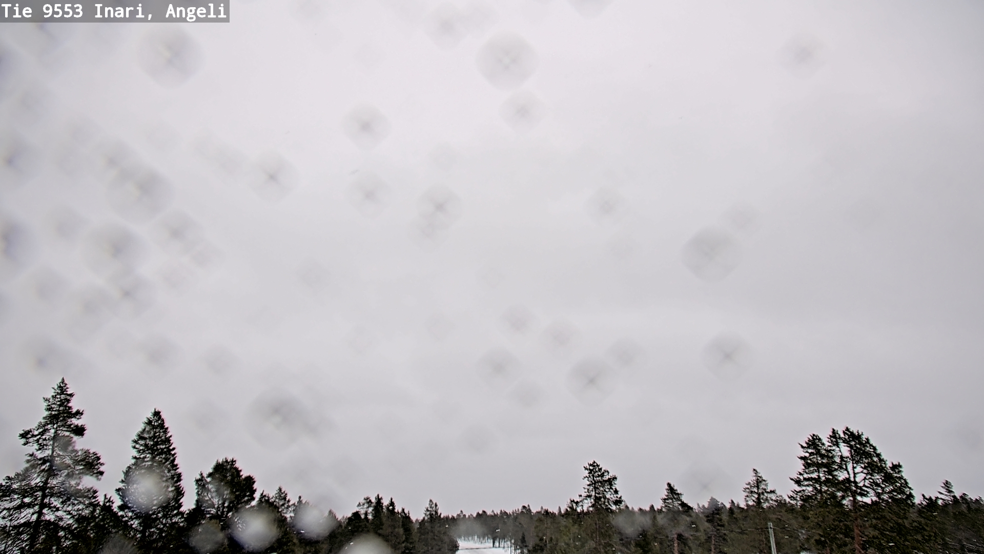 Kelikamerat Kuva Tie 9553 Inari, Angeli, Lintupuolivaara, Inari, Lappi