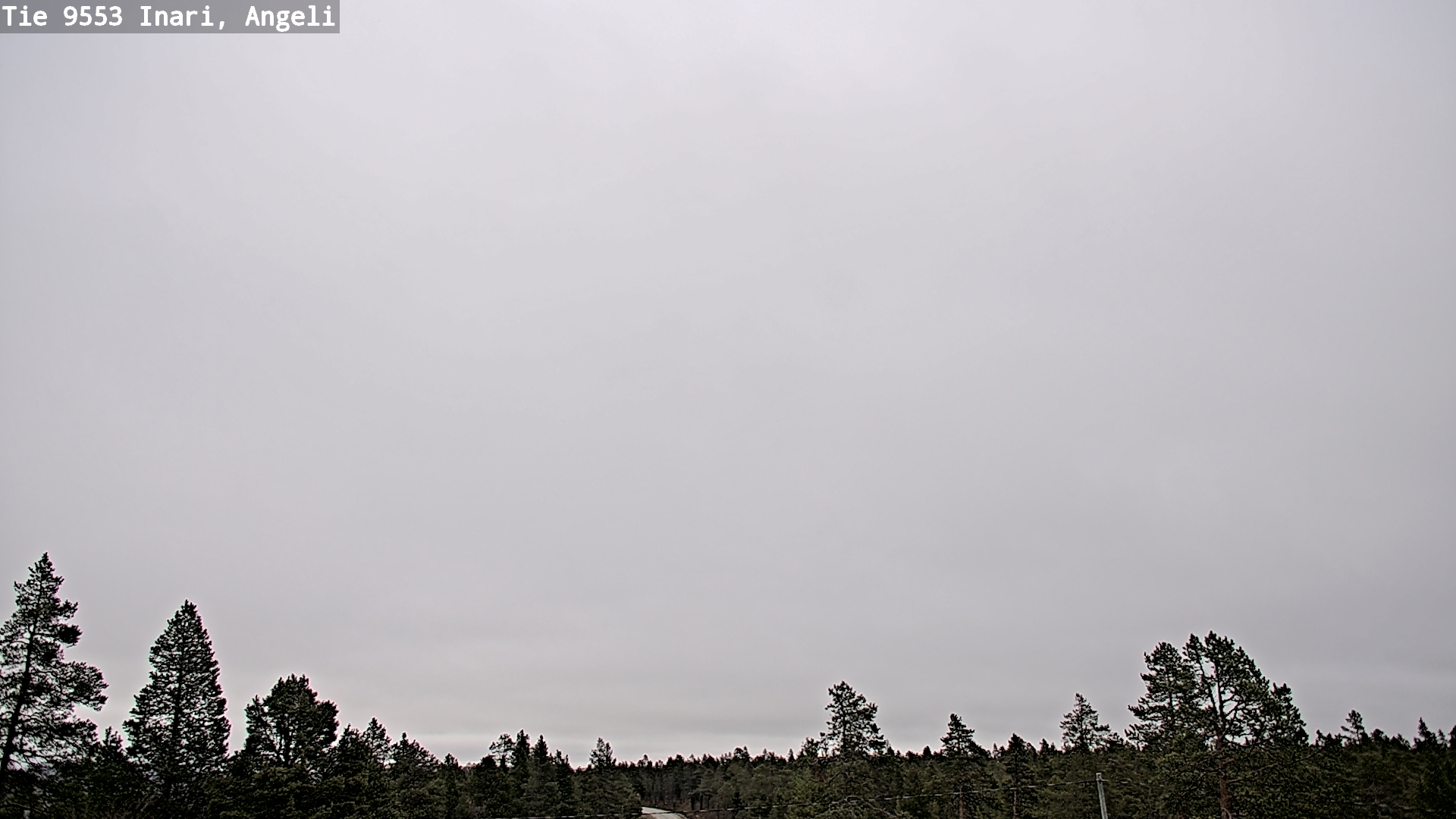 Kelikamerat Kuva Tie 9553 Inari, Angeli, Lintupuolivaara, Inari, Lappi