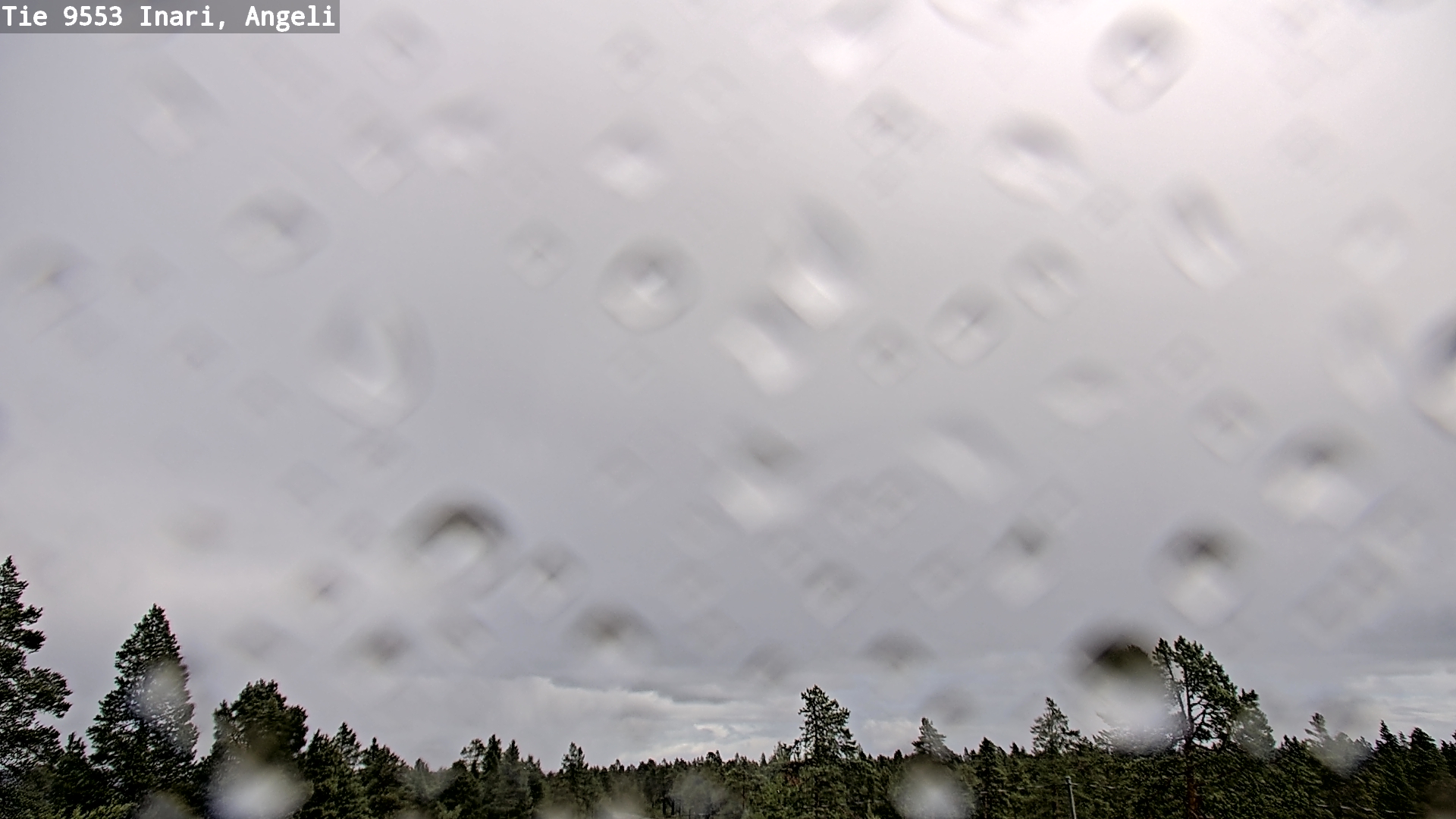 Weather Camera Image Road 9553 Inari, Angeli, Lintupuolivaara, Inari, Lappi