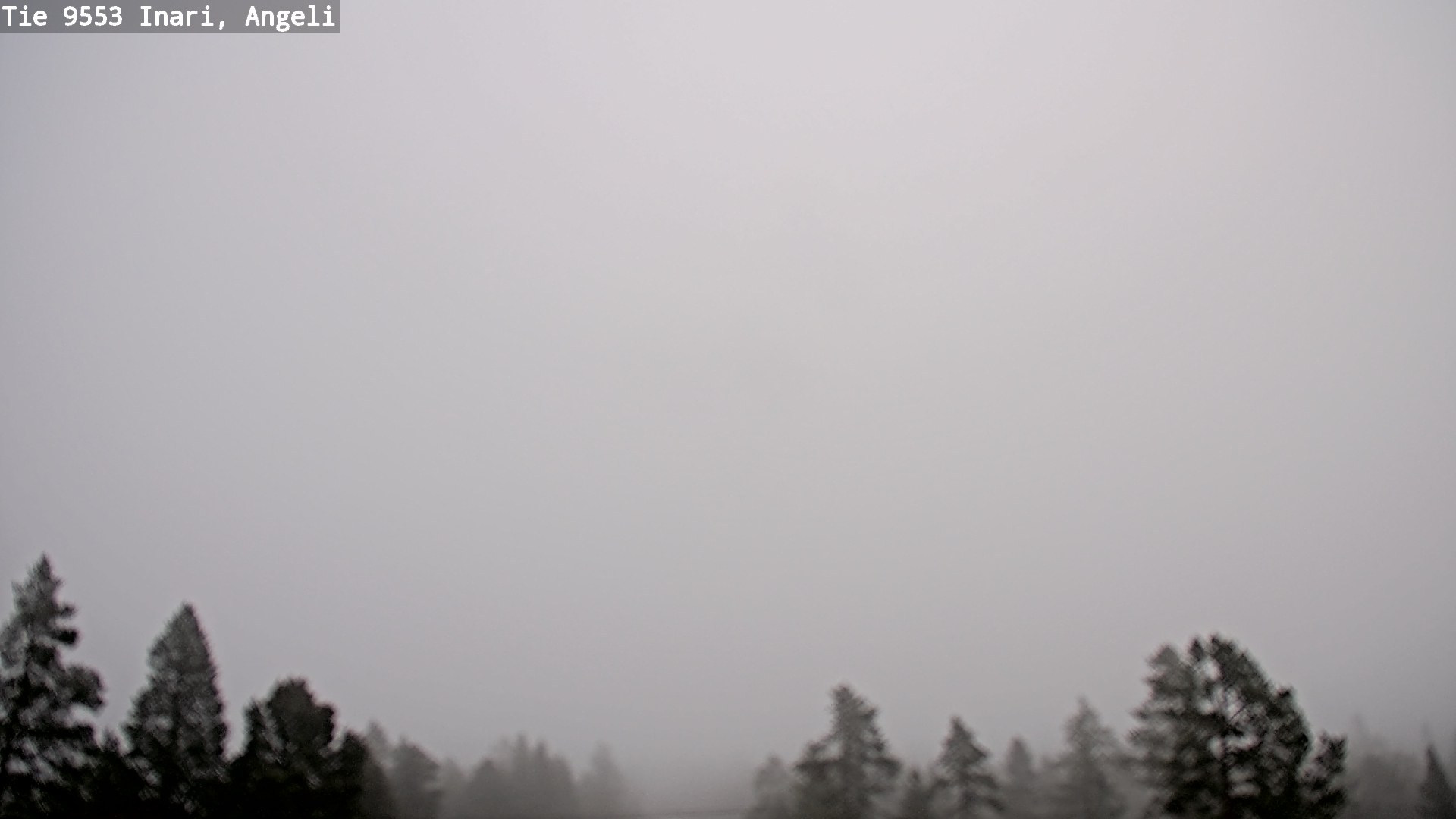 Weather Camera Image Road 9553 Inari, Angeli, Lintupuolivaara, Inari, Lappi