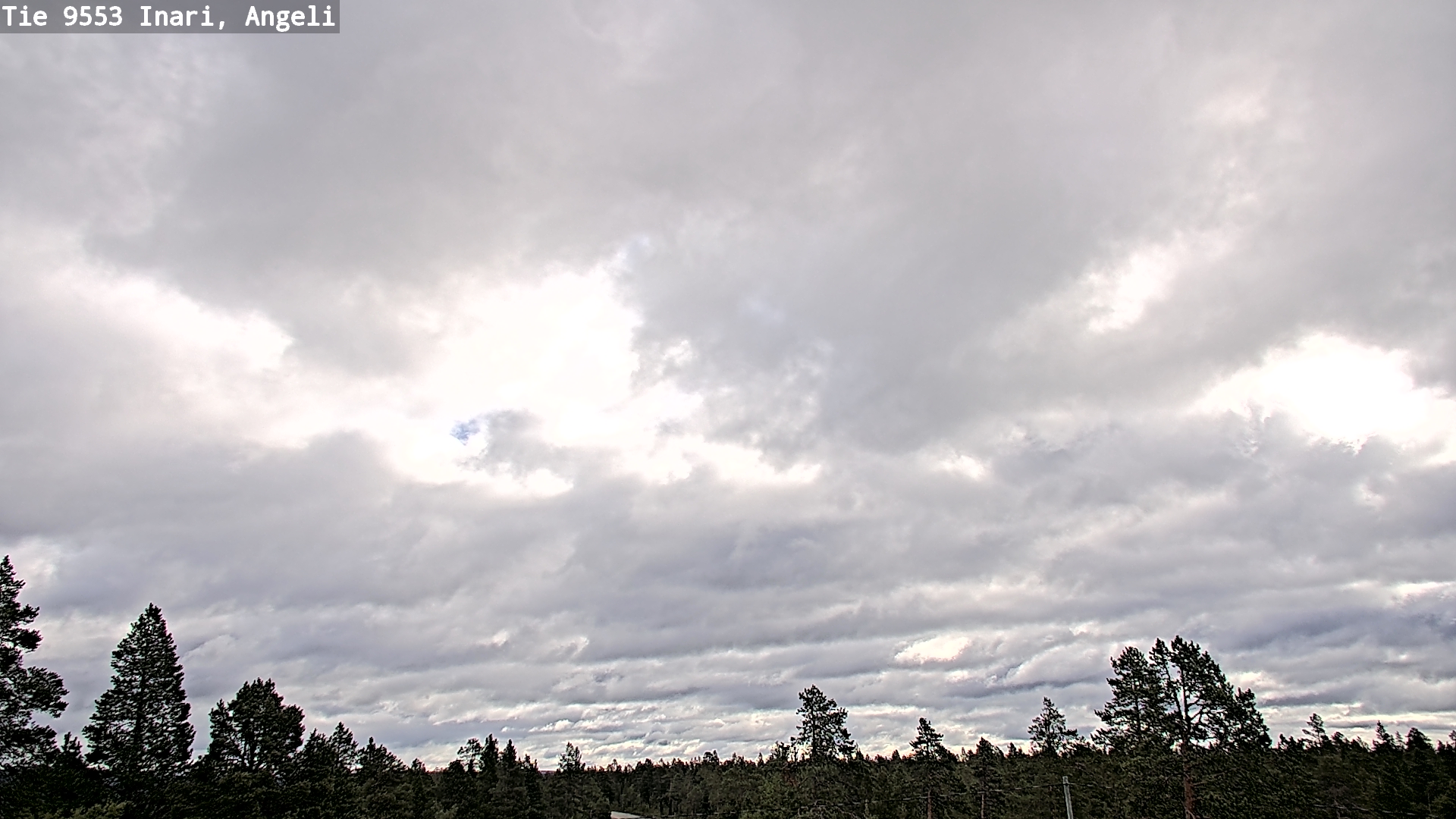 Weather Camera Image Road 9553 Inari, Angeli, Lintupuolivaara, Inari, Lappi