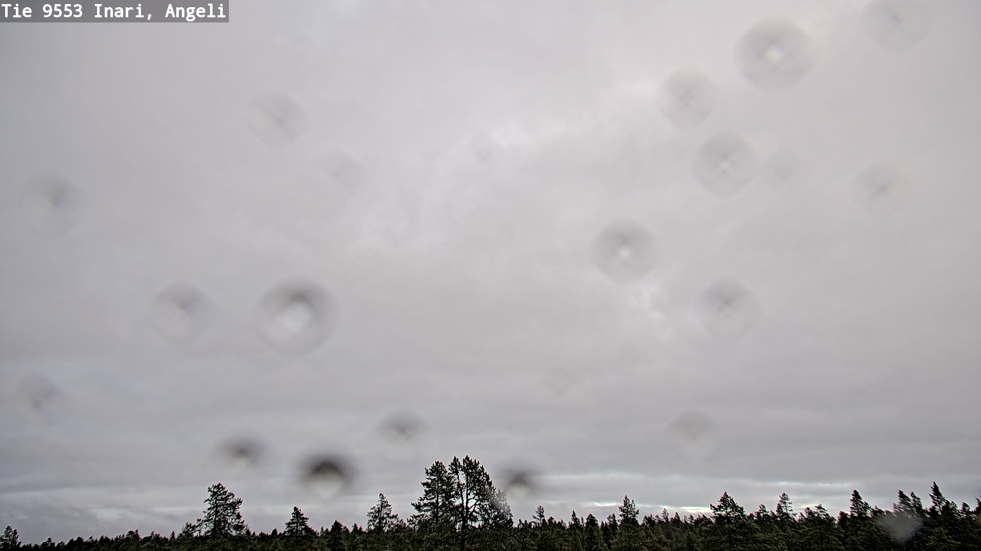 Kelikamerat Kuva Tie 9553 Inari, Angeli, Lintupuolivaara, Inari, Lappi