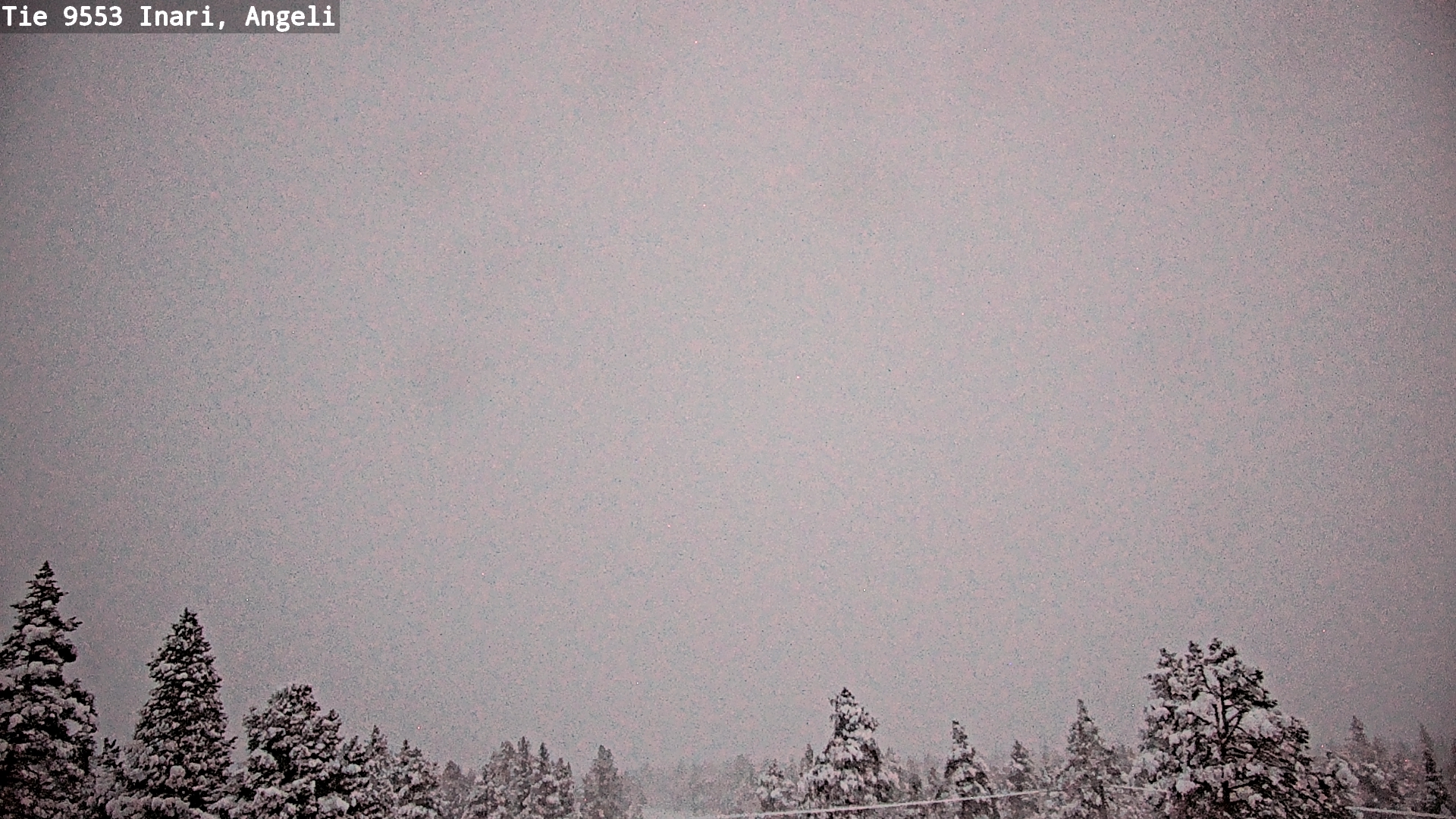 Weather Camera Image Road 9553 Inari, Angeli, Lintupuolivaara, Inari, Lappi