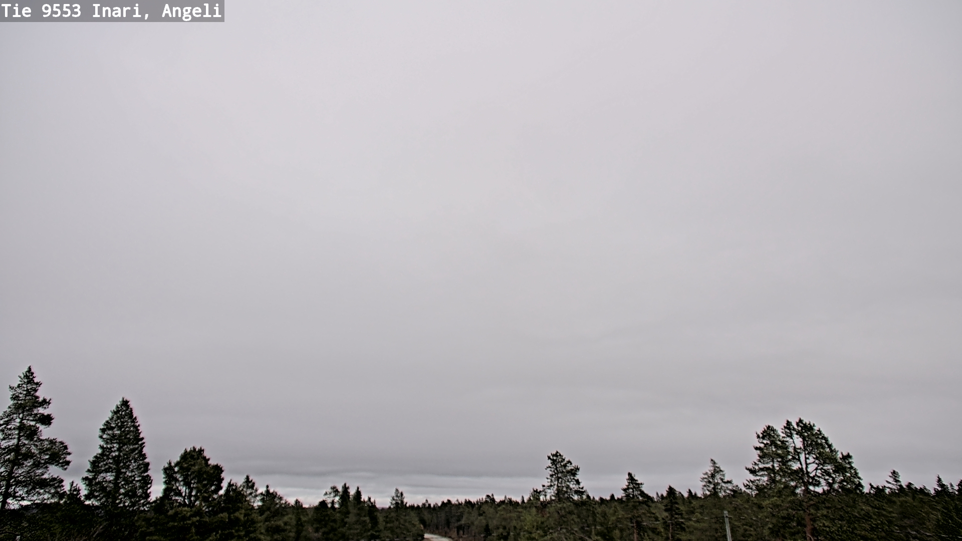Kelikamerat Kuva Tie 9553 Inari, Angeli, Lintupuolivaara, Inari, Lappi