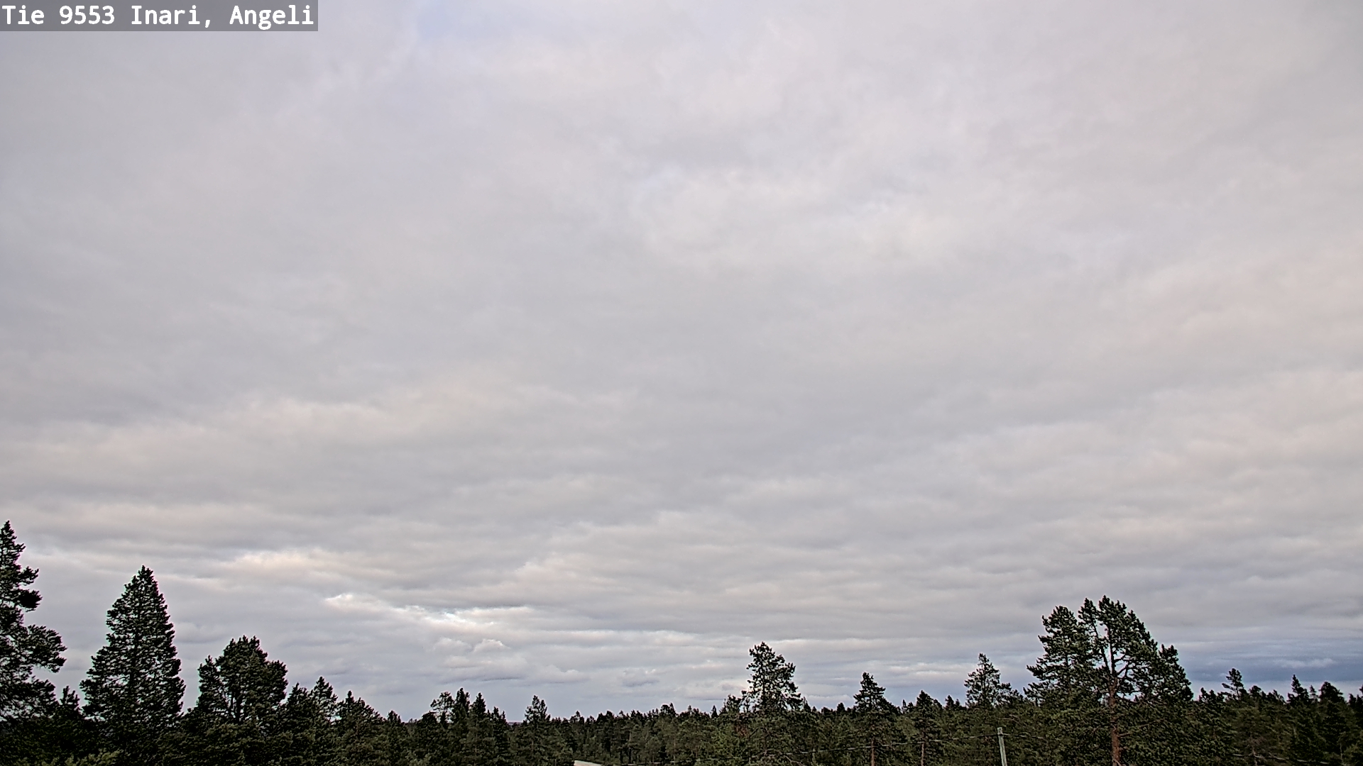 Kelikamerat Kuva Tie 9553 Inari, Angeli, Lintupuolivaara, Inari, Lappi
