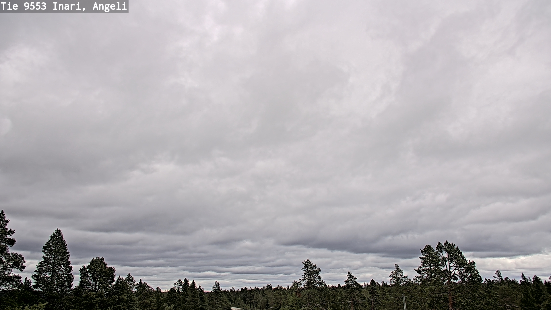 Kelikamerat Kuva Tie 9553 Inari, Angeli, Lintupuolivaara, Inari, Lappi