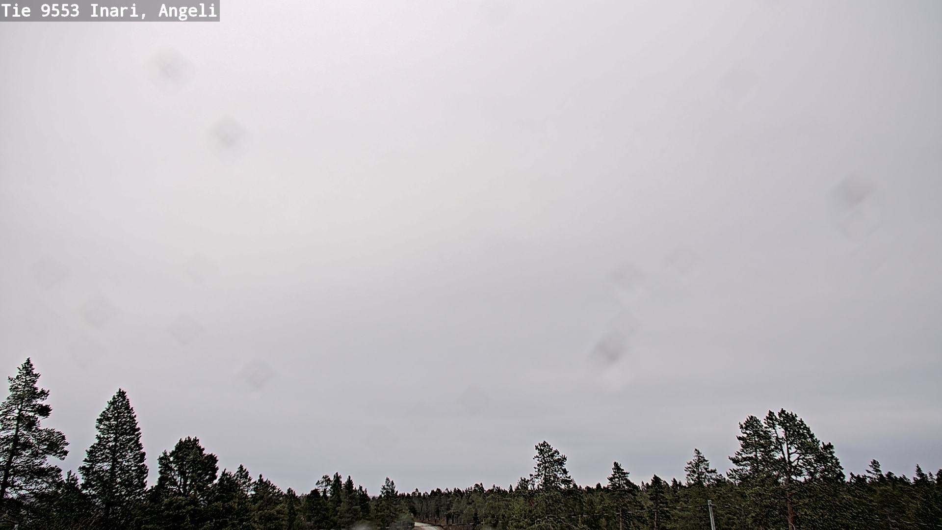 Kelikamerat Kuva Tie 9553 Inari, Angeli, Lintupuolivaara, Inari, Lappi