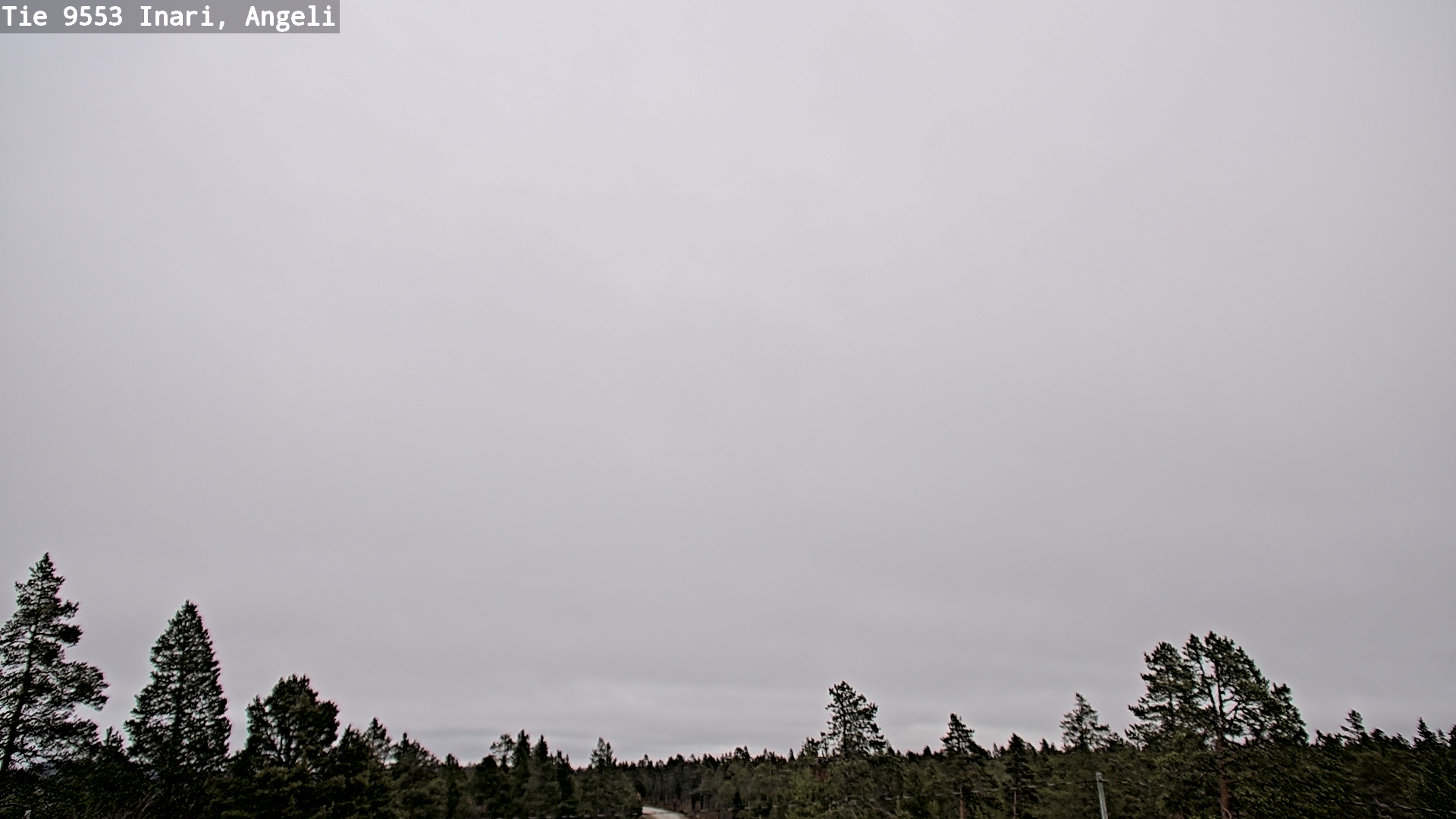 Kelikamerat Kuva Tie 9553 Inari, Angeli, Lintupuolivaara, Inari, Lappi