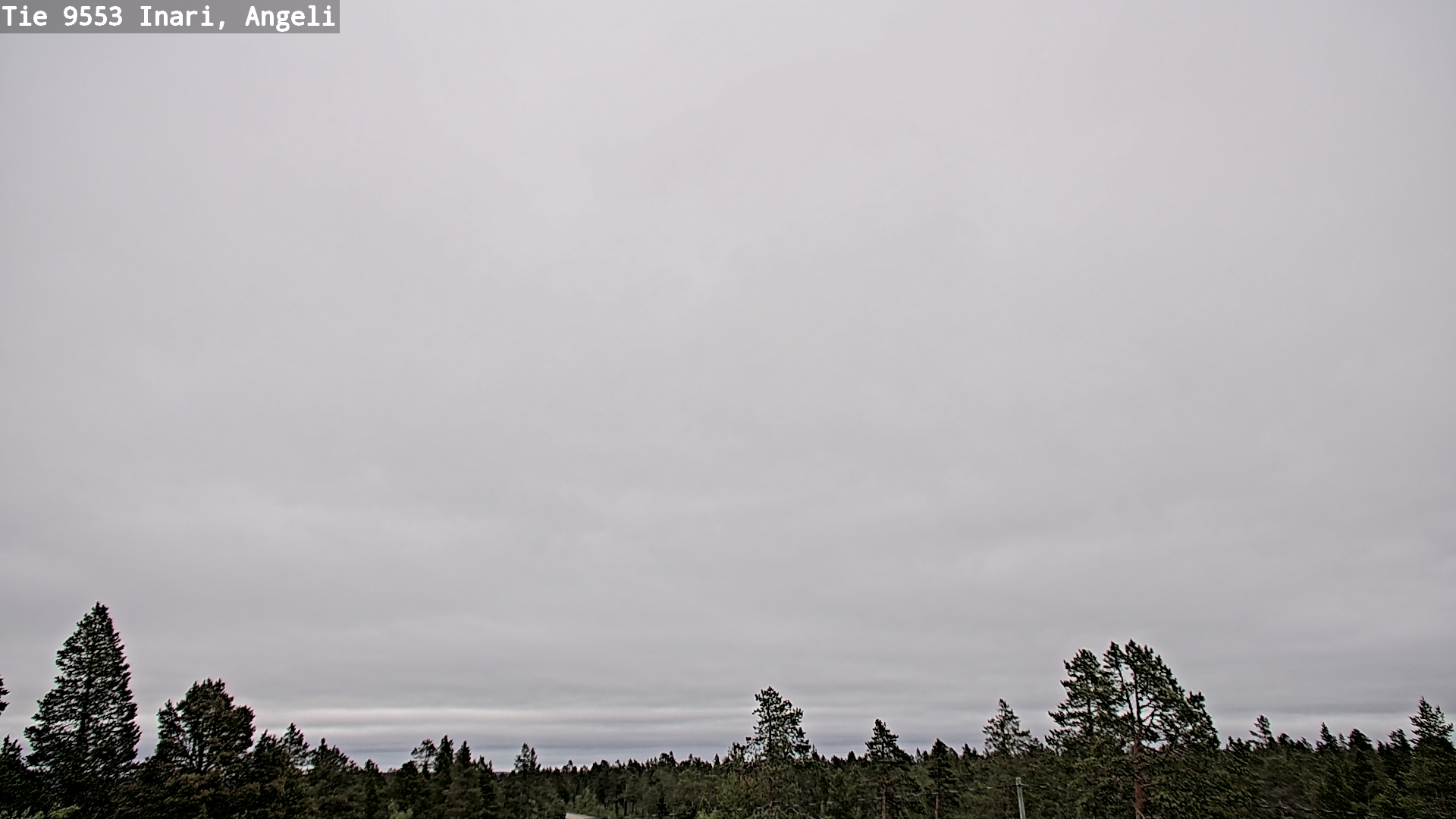 Weather Camera Image Road 9553 Inari, Angeli, Lintupuolivaara, Inari, Lappi