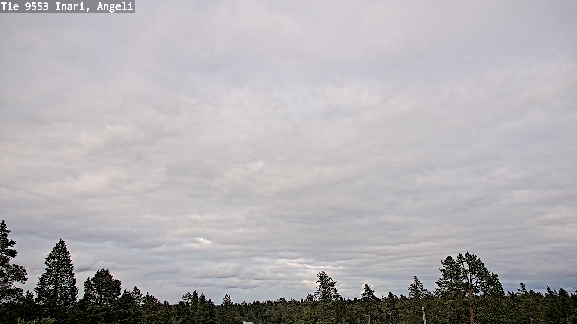 Kelikamerat Kuva Tie 9553 Inari, Angeli, Lintupuolivaara, Inari, Lappi