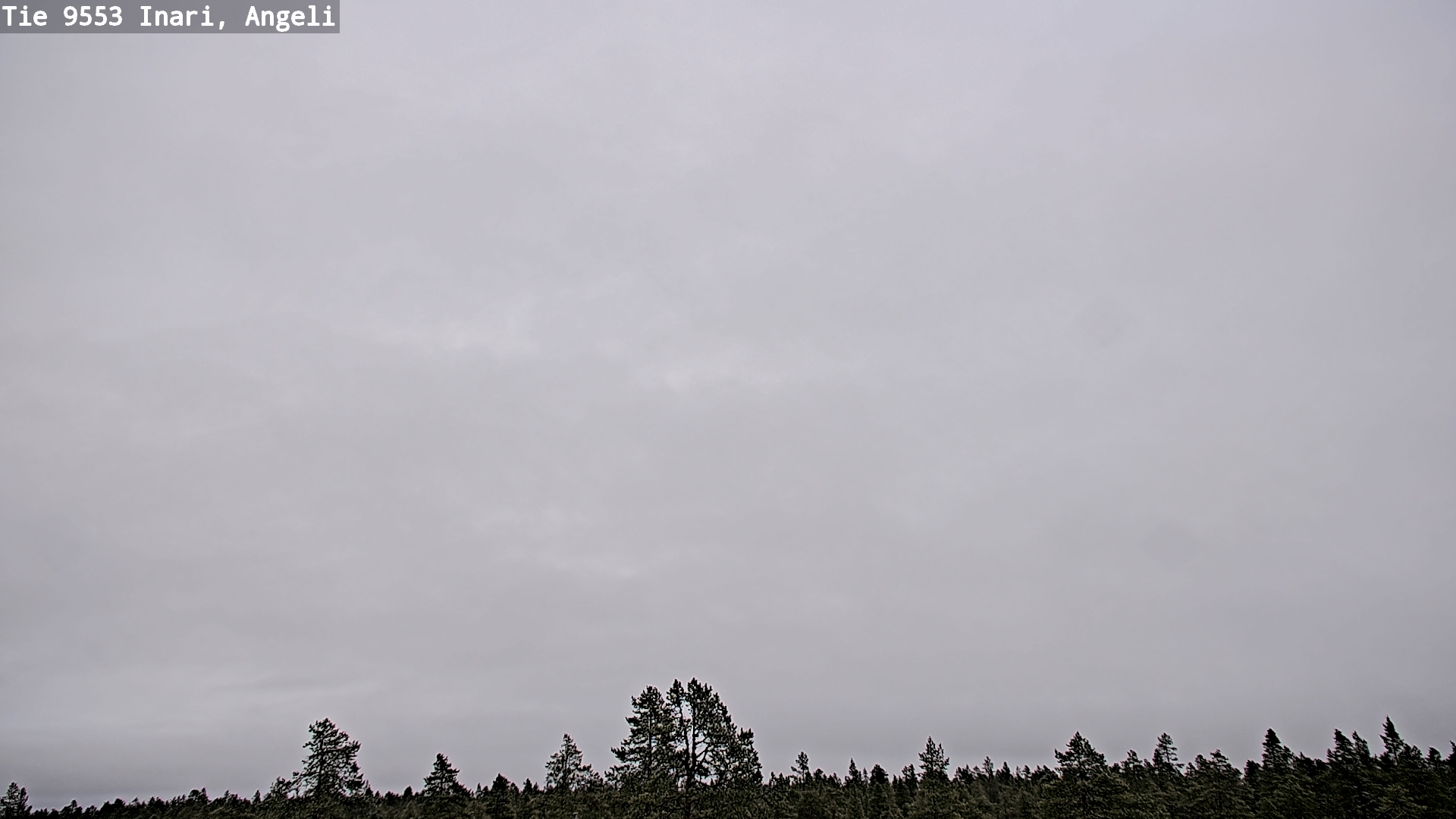 Kelikamerat Kuva Tie 9553 Inari, Angeli, Lintupuolivaara, Inari, Lappi