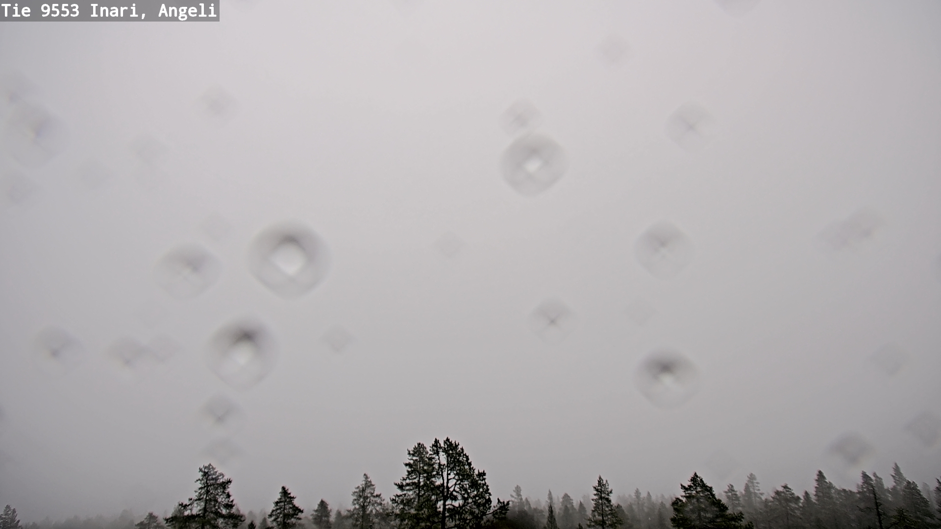 Kelikamerat Kuva Tie 9553 Inari, Angeli, Lintupuolivaara, Inari, Lappi