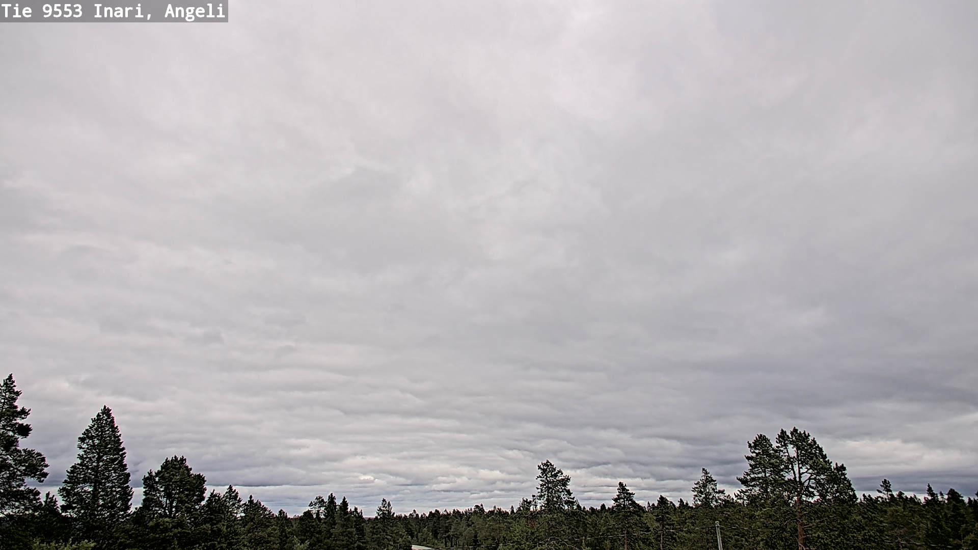 Kelikamerat Kuva Tie 9553 Inari, Angeli, Lintupuolivaara, Inari, Lappi
