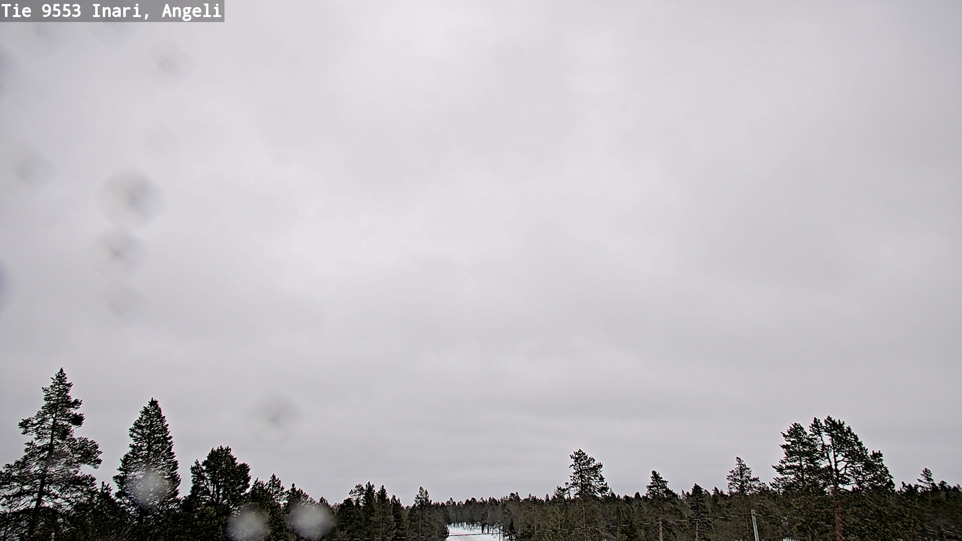 Kelikamerat Kuva Tie 9553 Inari, Angeli, Lintupuolivaara, Inari, Lappi