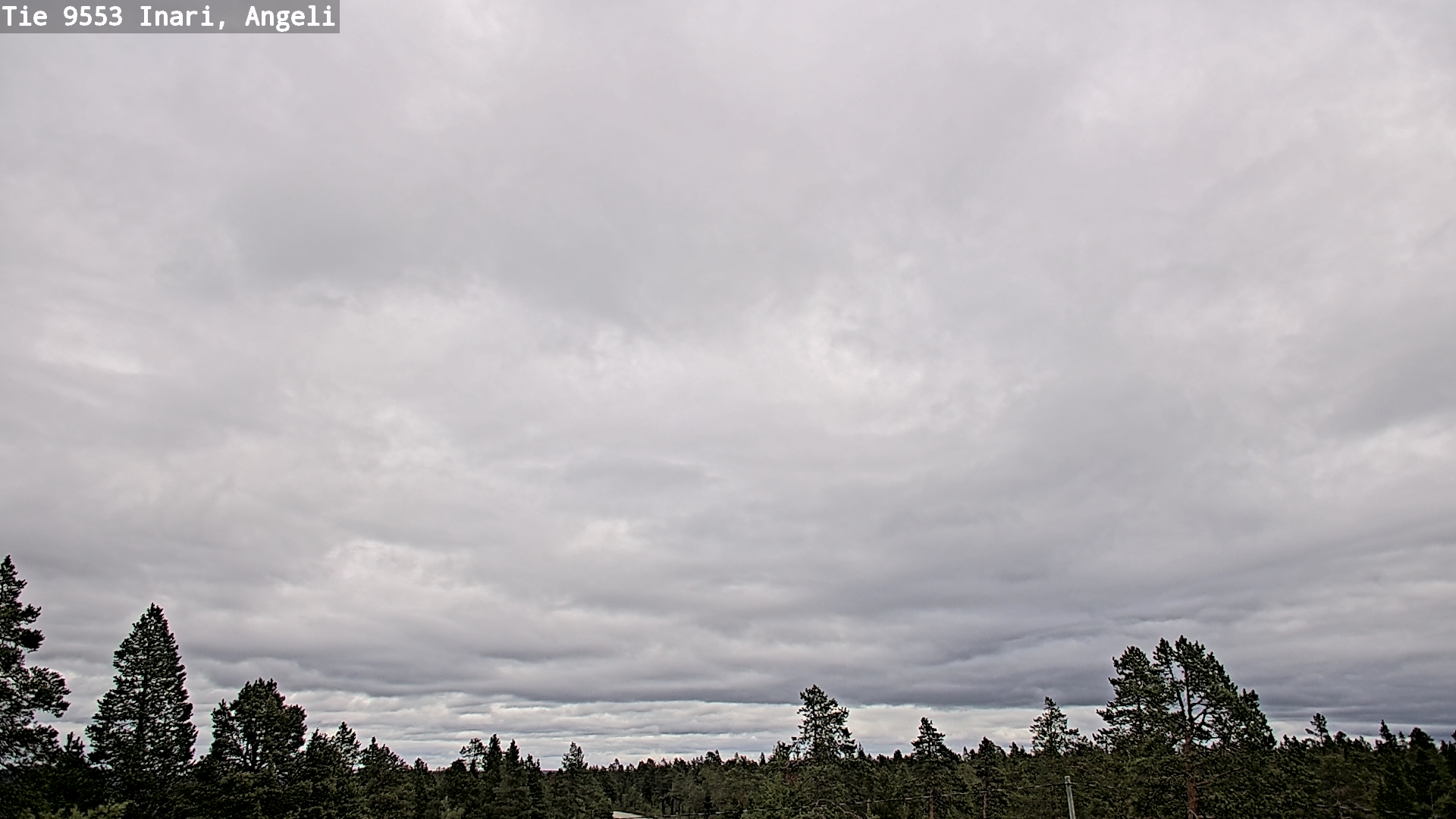 Kelikamerat Kuva Tie 9553 Inari, Angeli, Lintupuolivaara, Inari, Lappi