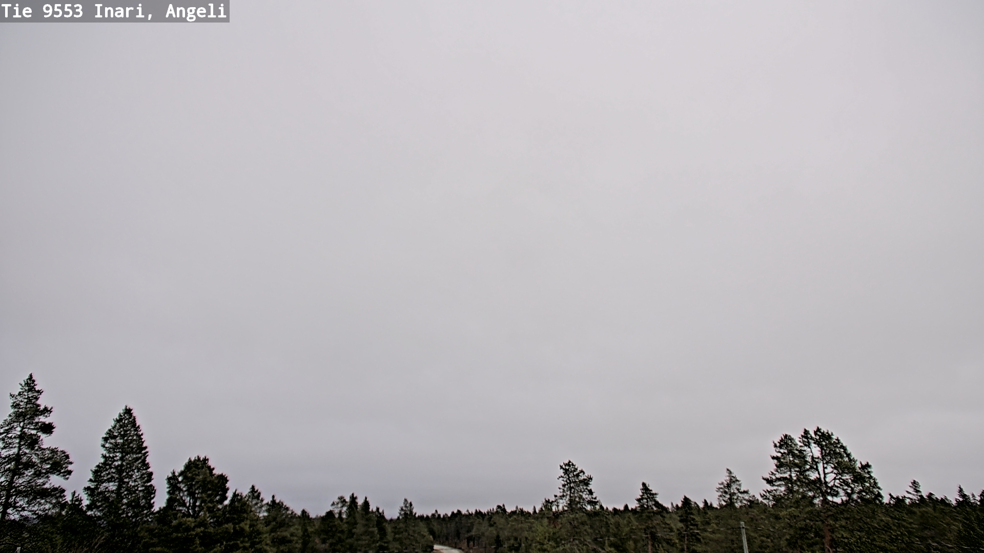 Kelikamerat Kuva Tie 9553 Inari, Angeli, Lintupuolivaara, Inari, Lappi