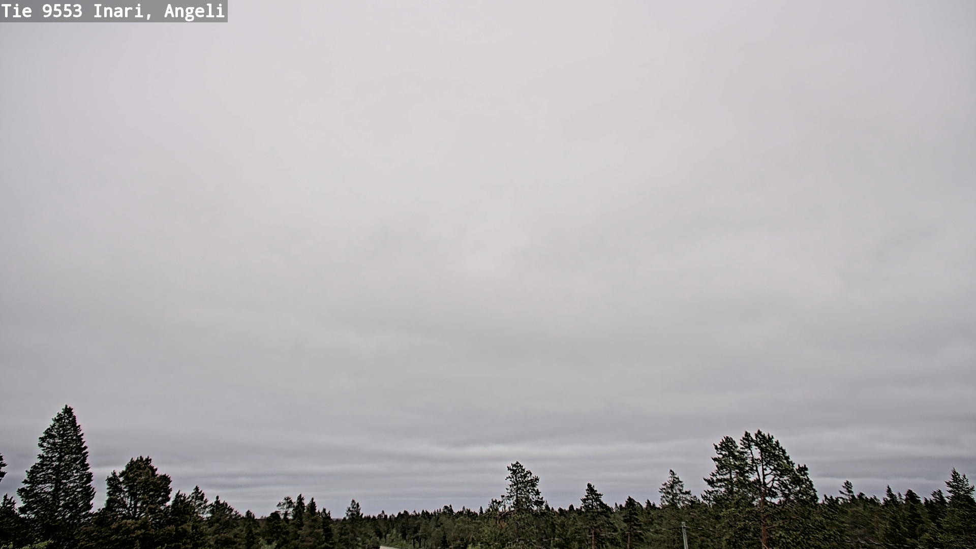 Weather Camera Image Road 9553 Inari, Angeli, Lintupuolivaara, Inari, Lappi