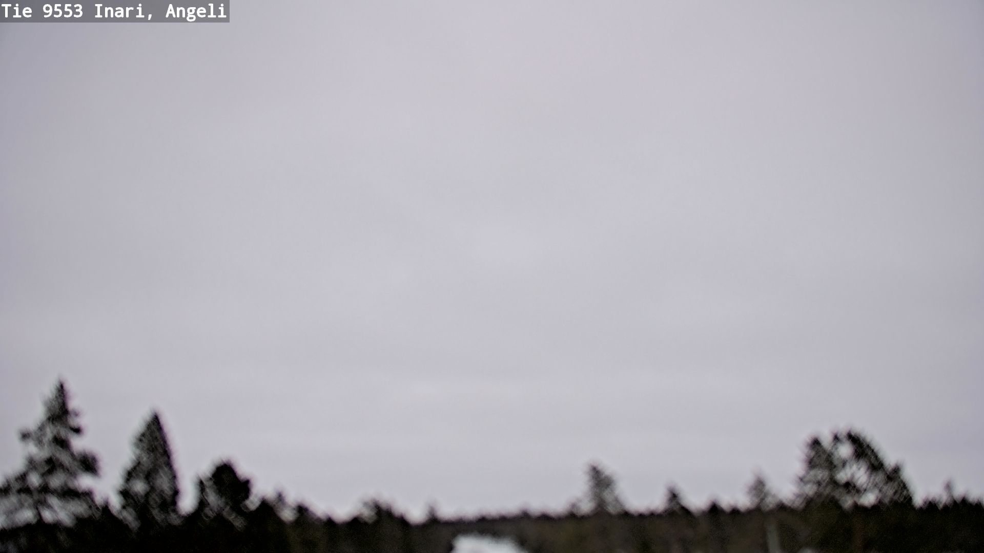 Kelikamerat Kuva Tie 9553 Inari, Angeli, Lintupuolivaara, Inari, Lappi