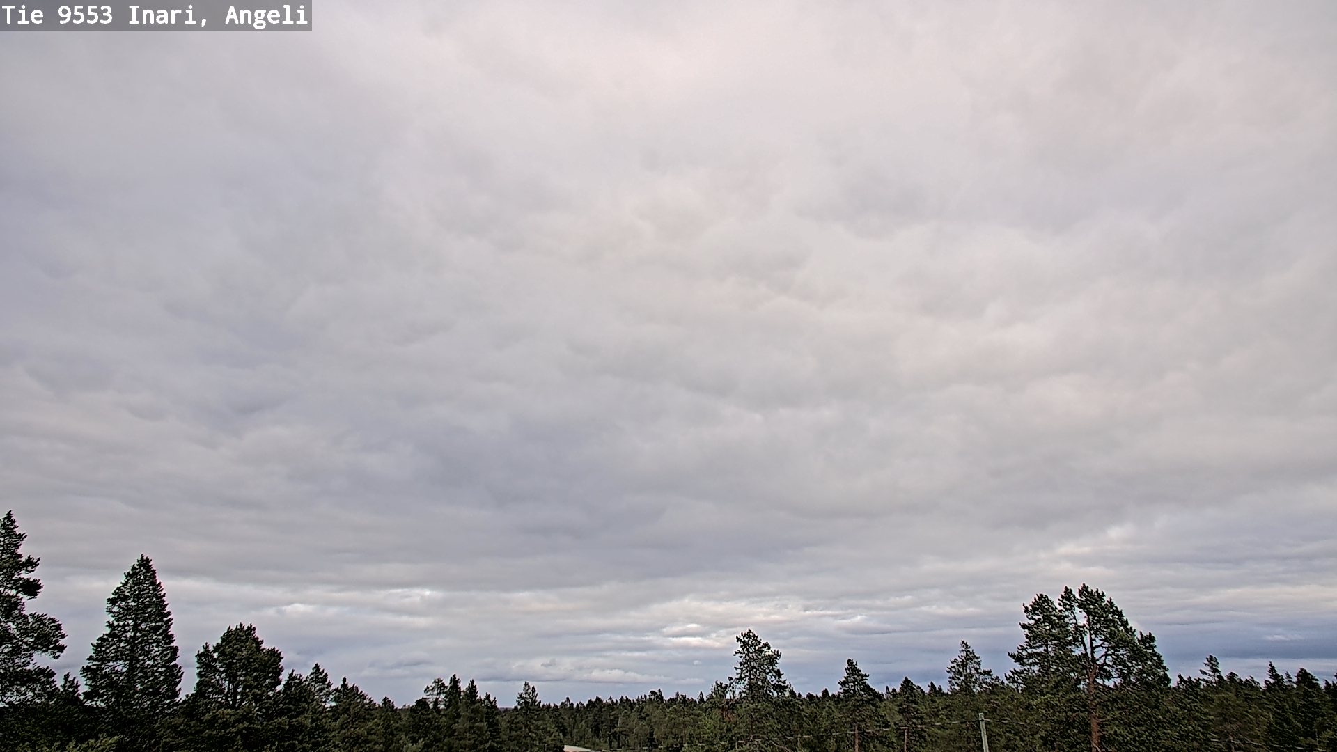 Kelikamerat Kuva Tie 9553 Inari, Angeli, Lintupuolivaara, Inari, Lappi