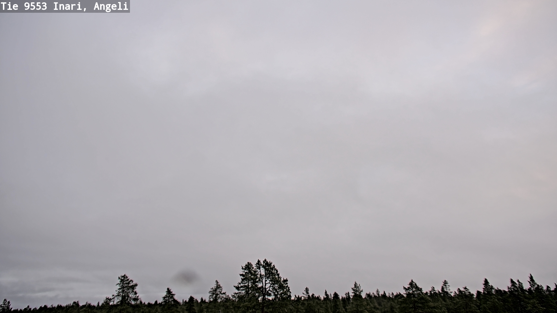 Kelikamerat Kuva Tie 9553 Inari, Angeli, Lintupuolivaara, Inari, Lappi