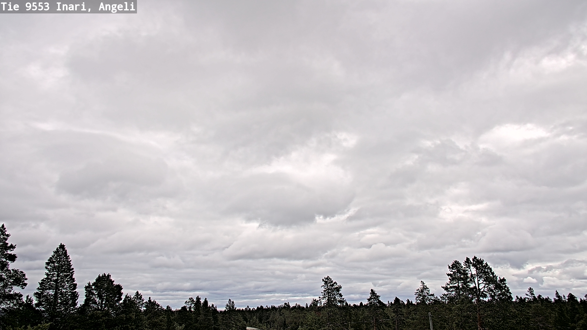 Kelikamerat Kuva Tie 9553 Inari, Angeli, Lintupuolivaara, Inari, Lappi