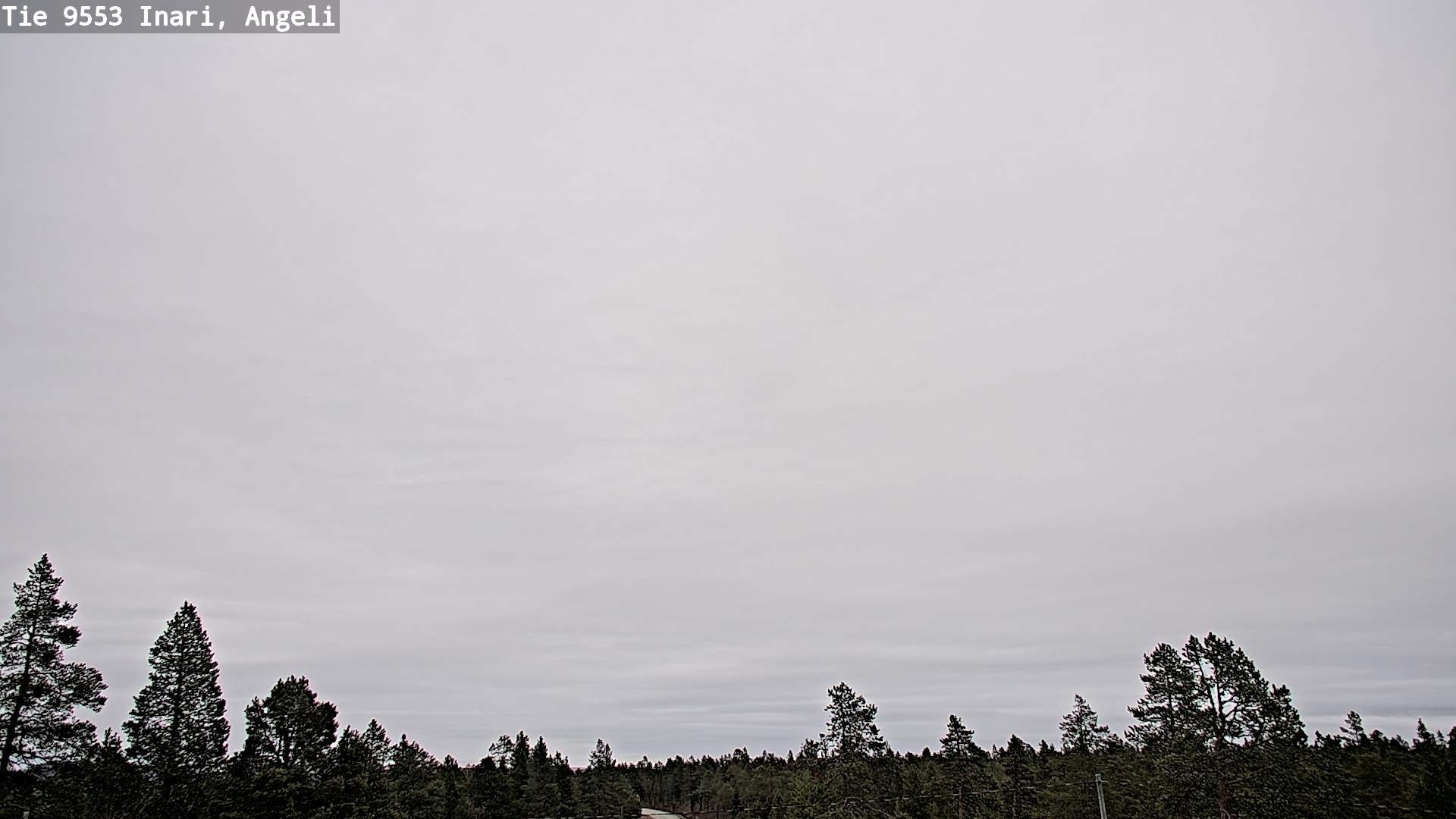 Kelikamerat Kuva Tie 9553 Inari, Angeli, Lintupuolivaara, Inari, Lappi