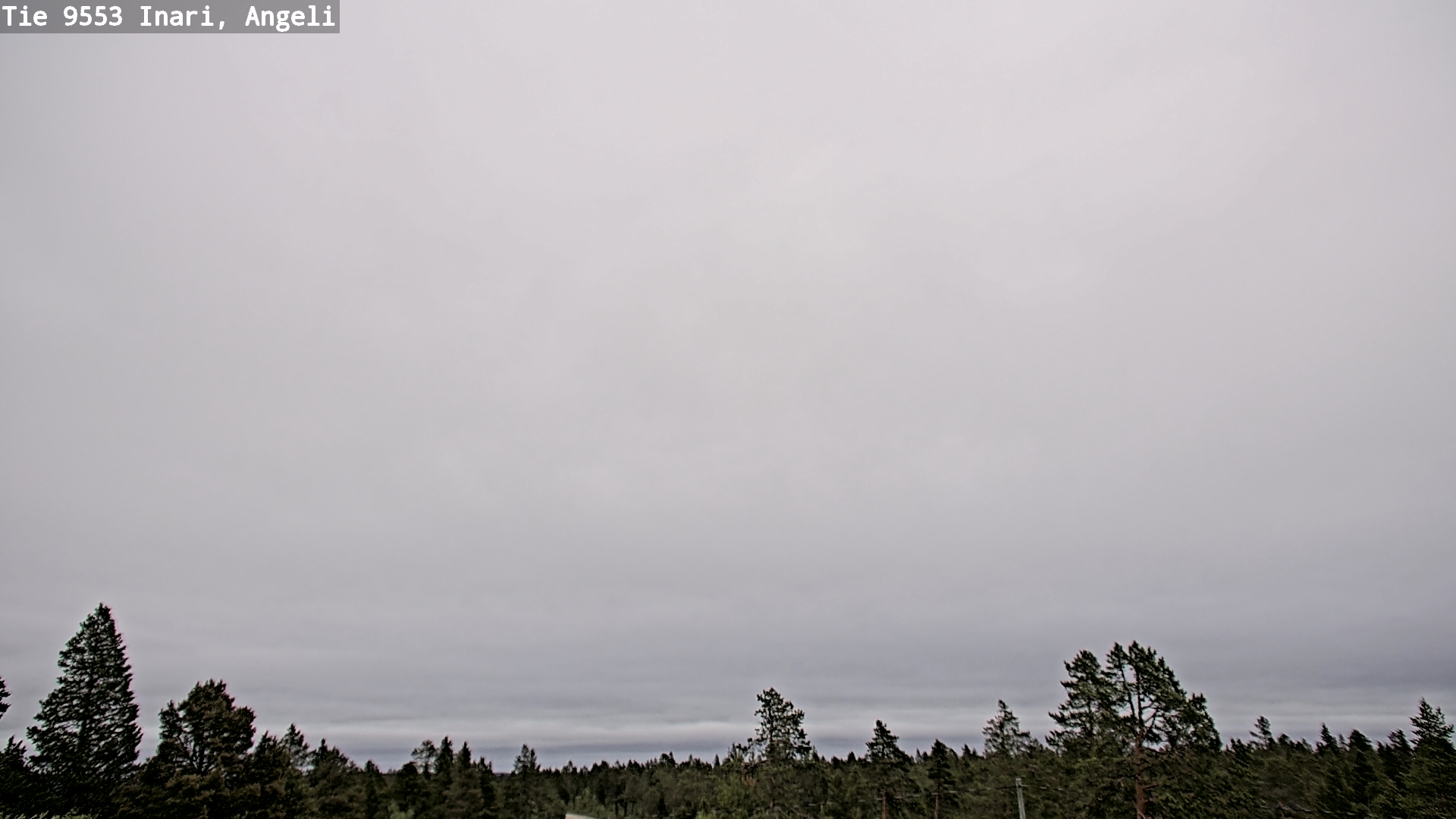 Weather Camera Image Road 9553 Inari, Angeli, Lintupuolivaara, Inari, Lappi