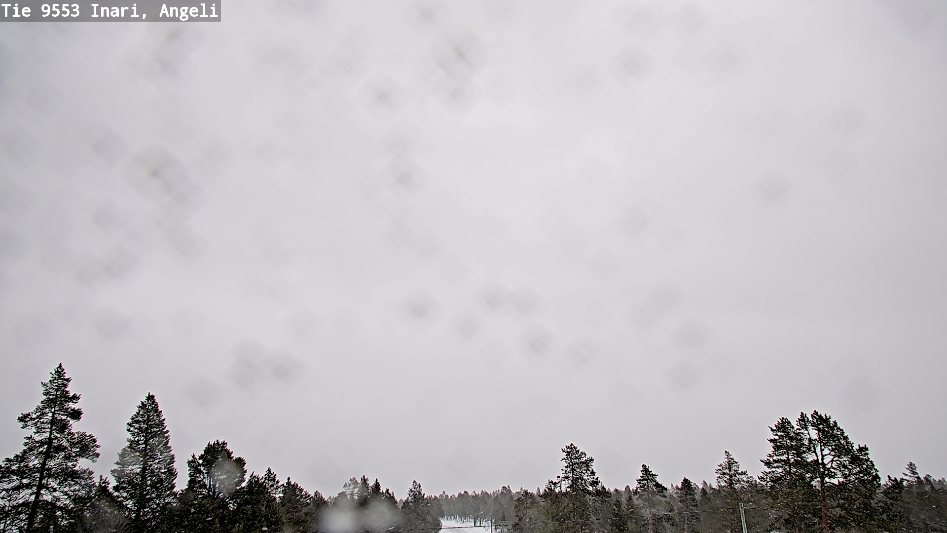 Kelikamerat Kuva Tie 9553 Inari, Angeli, Lintupuolivaara, Inari, Lappi