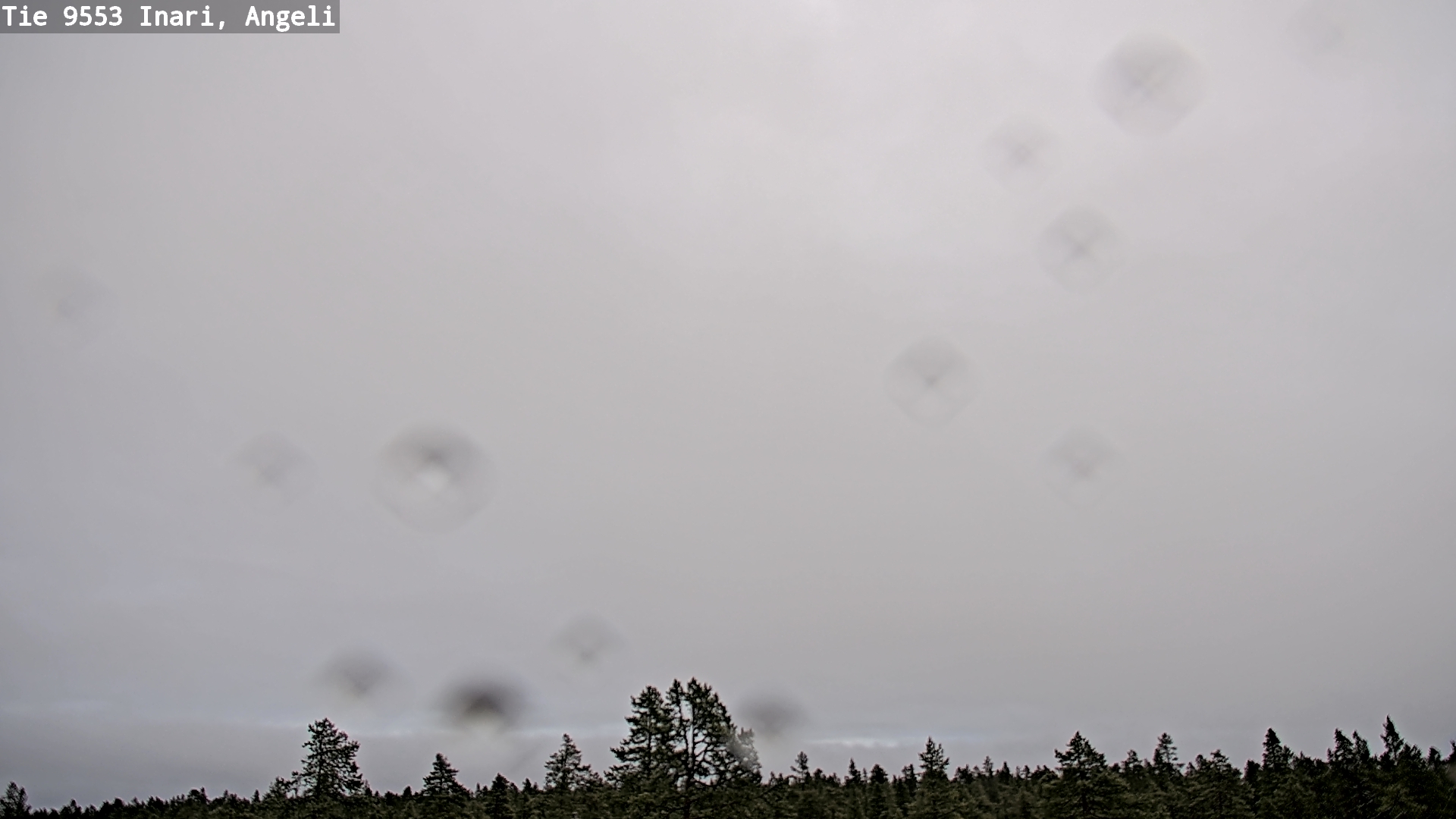 Kelikamerat Kuva Tie 9553 Inari, Angeli, Lintupuolivaara, Inari, Lappi