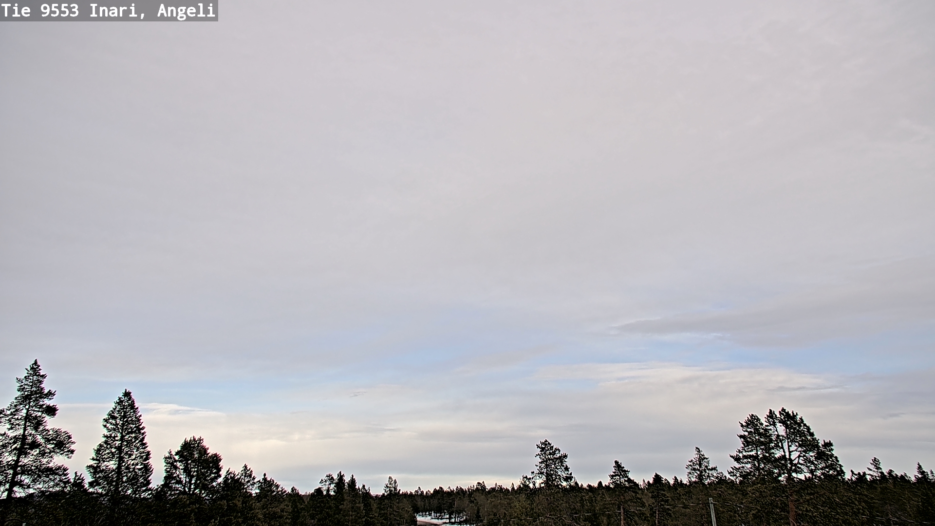 Weather Camera Image Road 9553 Inari, Angeli, Lintupuolivaara, Inari, Lappi