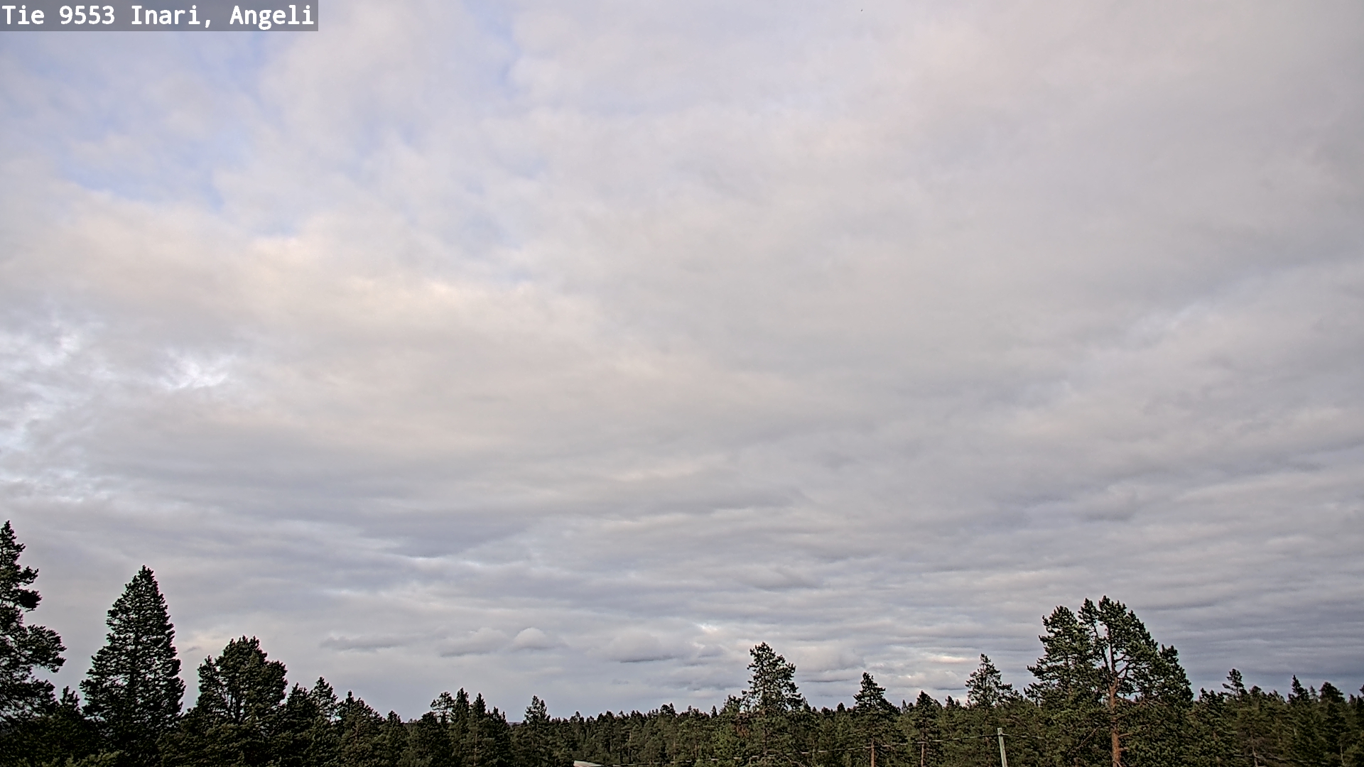 Kelikamerat Kuva Tie 9553 Inari, Angeli, Lintupuolivaara, Inari, Lappi