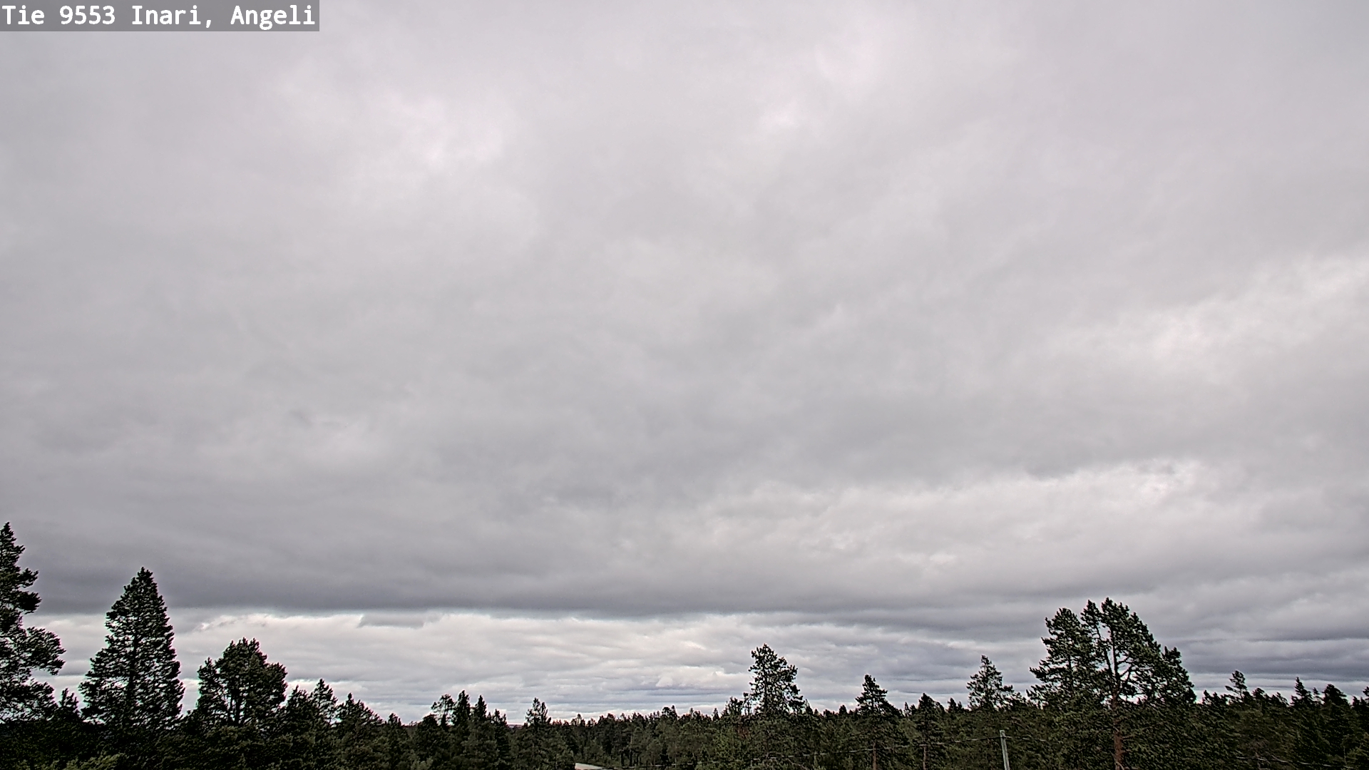 Kelikamerat Kuva Tie 9553 Inari, Angeli, Lintupuolivaara, Inari, Lappi