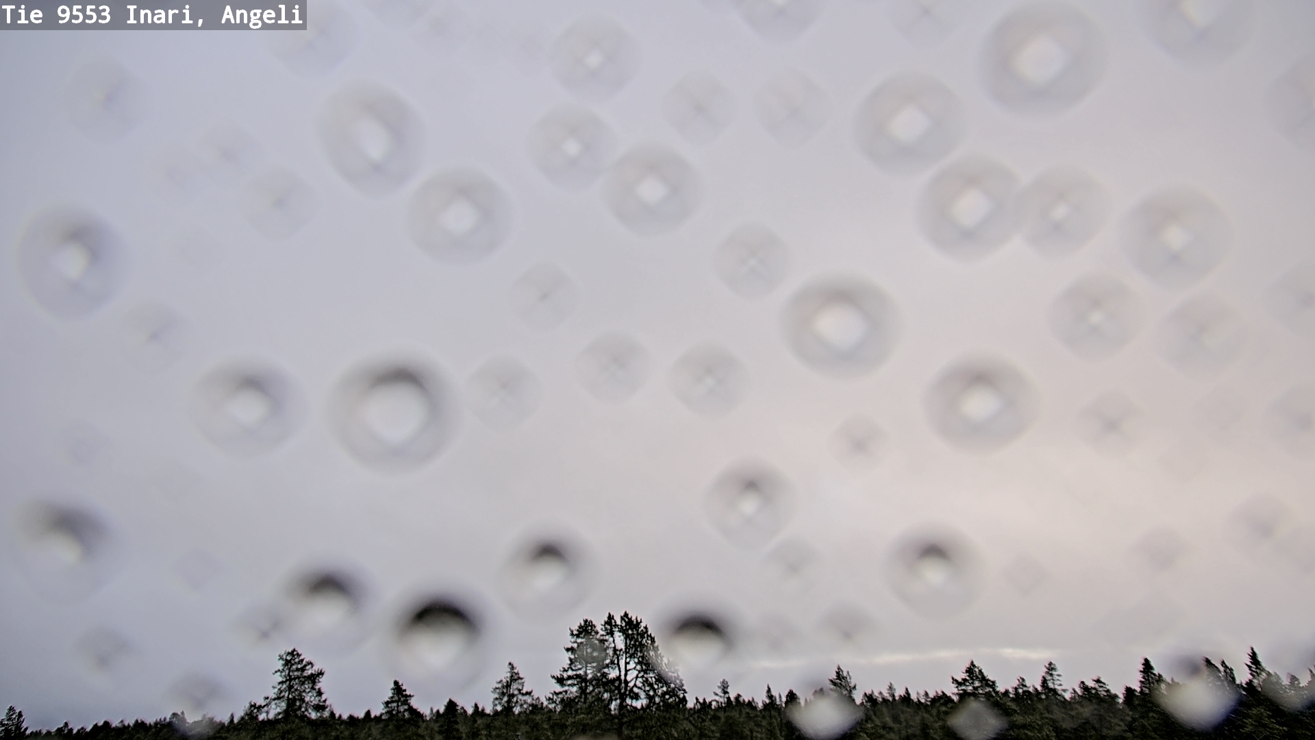 Kelikamerat Kuva Tie 9553 Inari, Angeli, Lintupuolivaara, Inari, Lappi