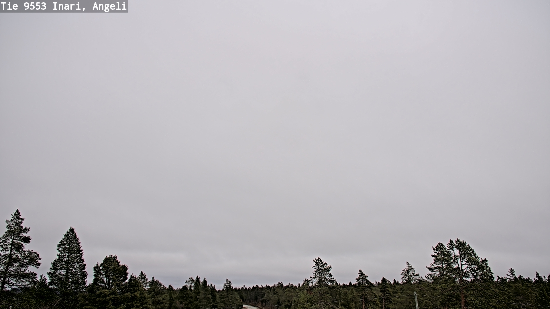 Kelikamerat Kuva Tie 9553 Inari, Angeli, Lintupuolivaara, Inari, Lappi