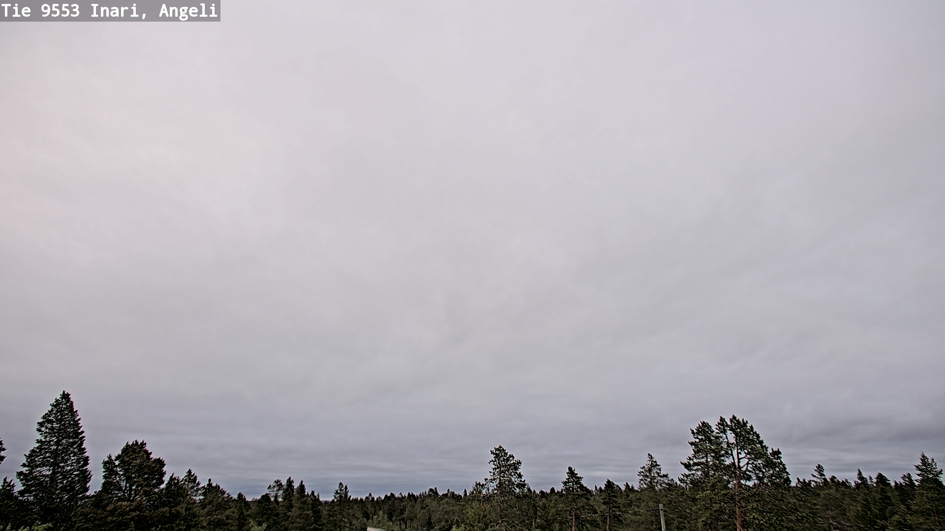 Kelikamerat Kuva Tie 9553 Inari, Angeli, Lintupuolivaara, Inari, Lappi