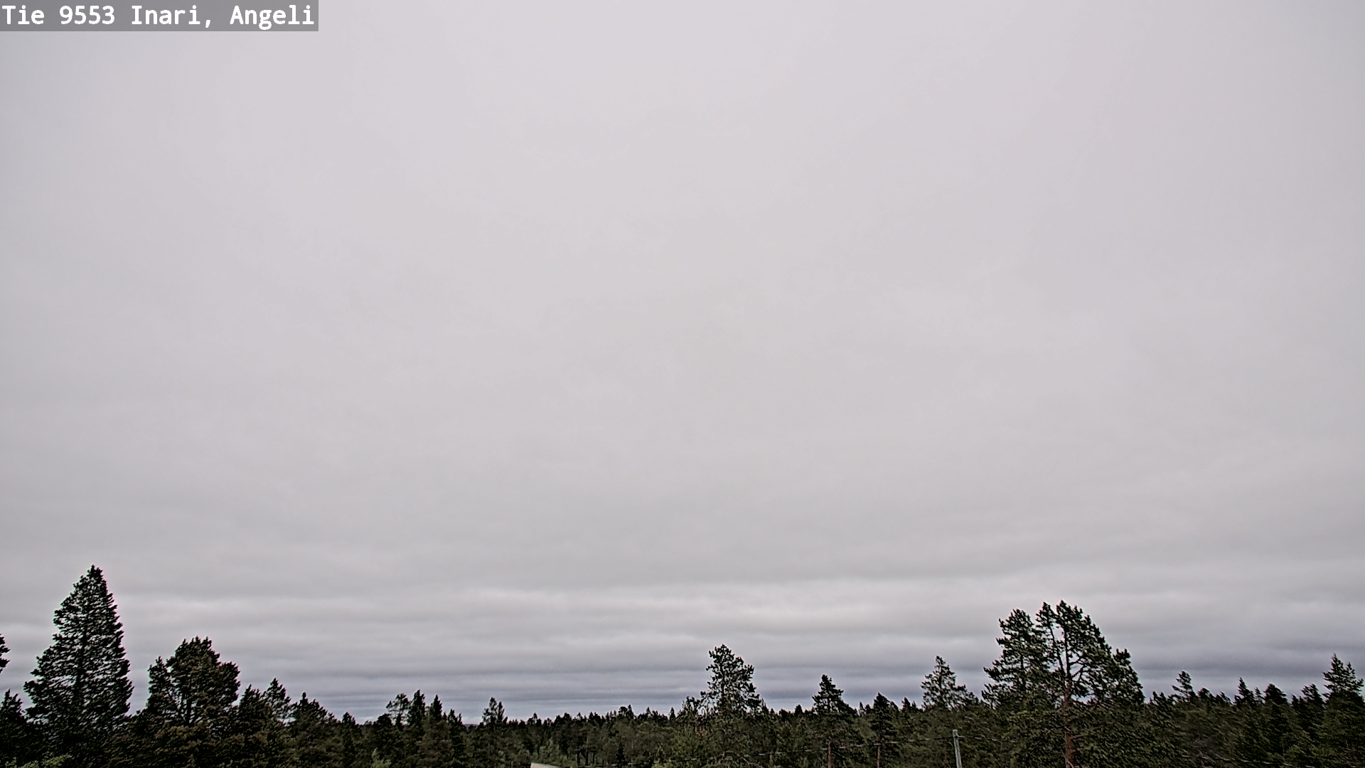 Weather Camera Image Road 9553 Inari, Angeli, Lintupuolivaara, Inari, Lappi