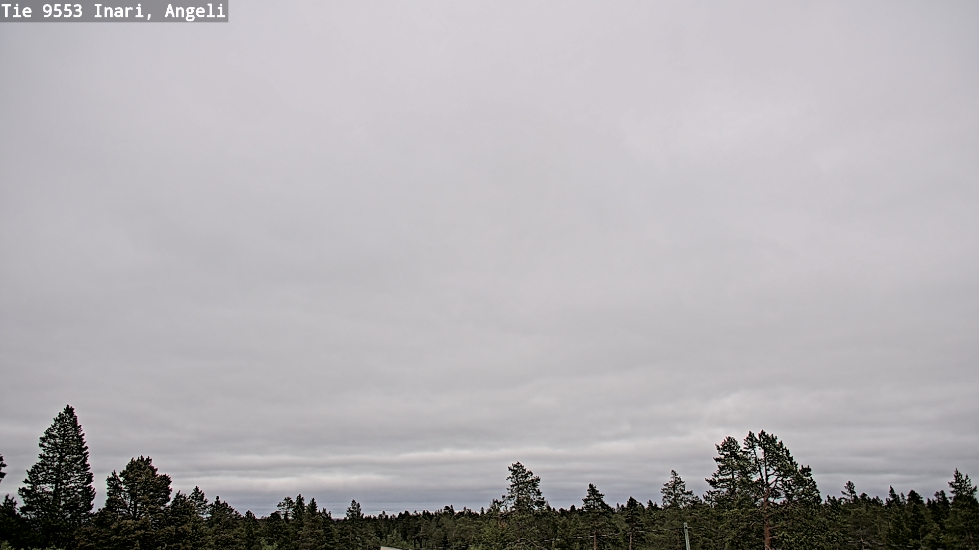 Weather Camera Image Road 9553 Inari, Angeli, Lintupuolivaara, Inari, Lappi